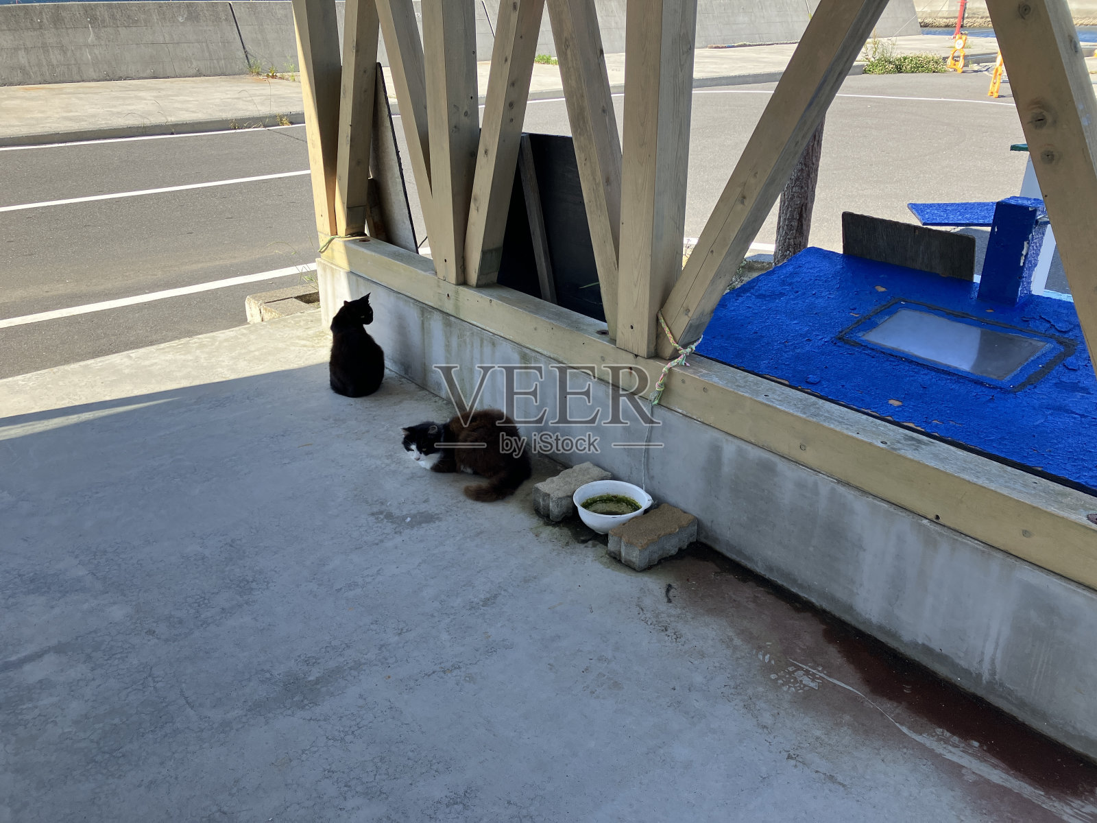 猫岛田代岛在宫城县，日本照片摄影图片