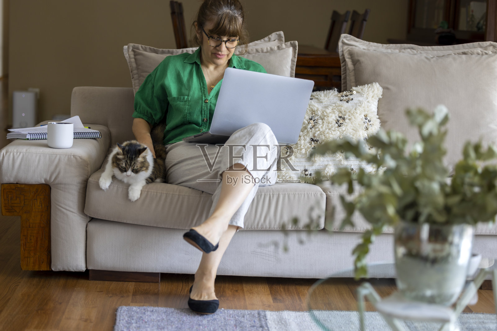 积极的中年妇女在家和她的猫一起使用笔记本电脑。照片摄影图片