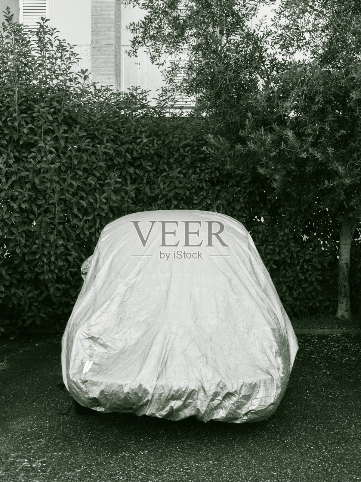 车停着，盖着床单照片摄影图片