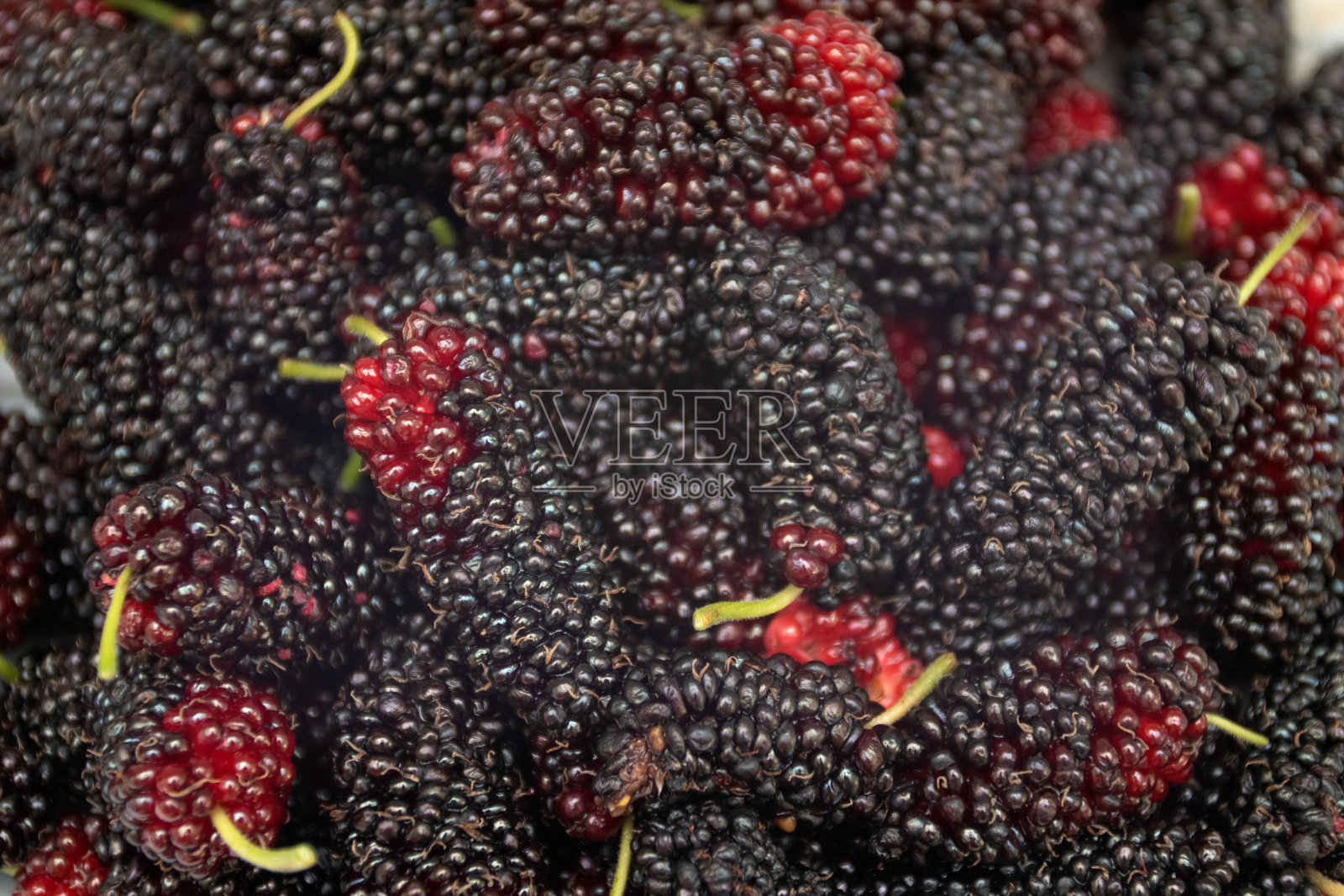 桑椹近景浆果照片摄影图片