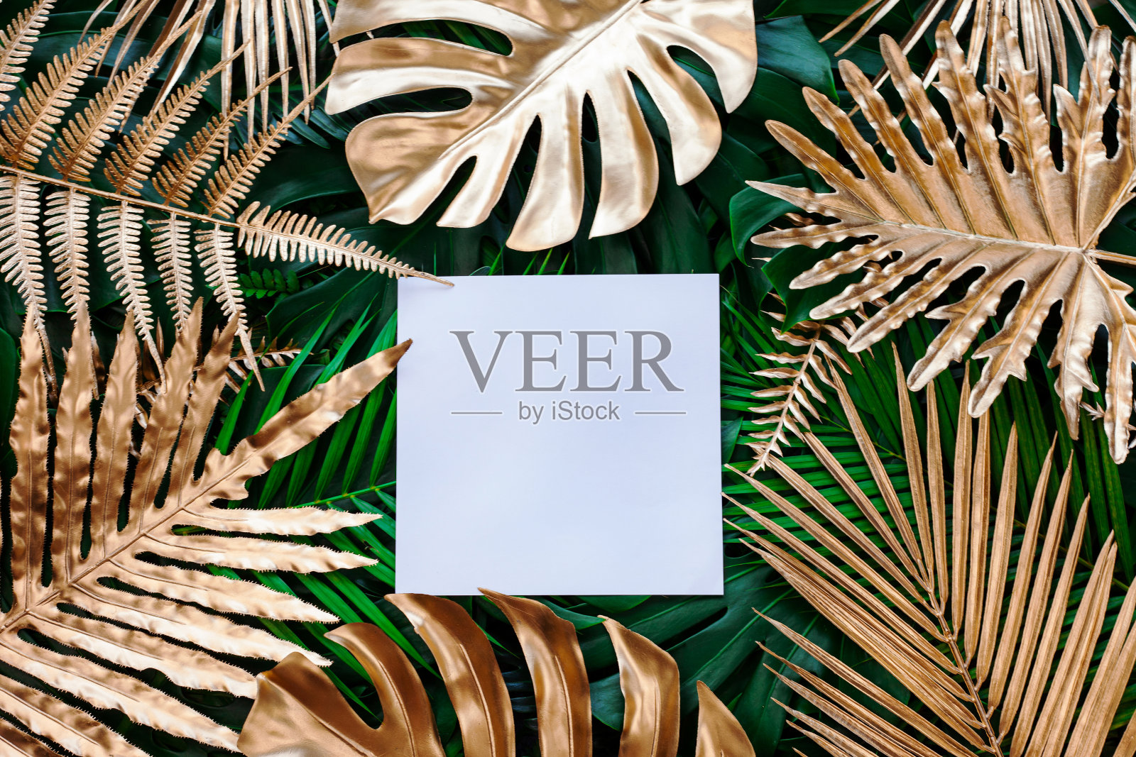 创意自然模式背景。照片摄影图片