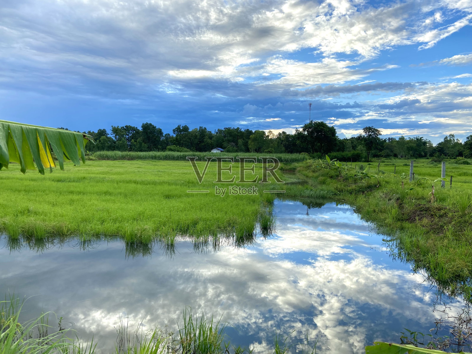农业领域照片摄影图片
