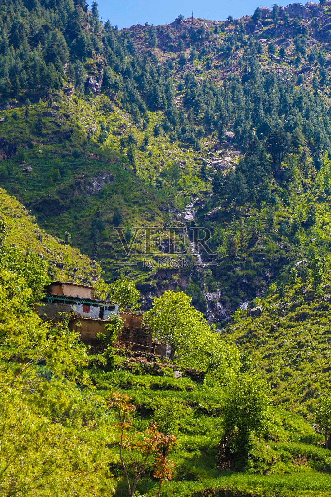 自然之美照片摄影图片