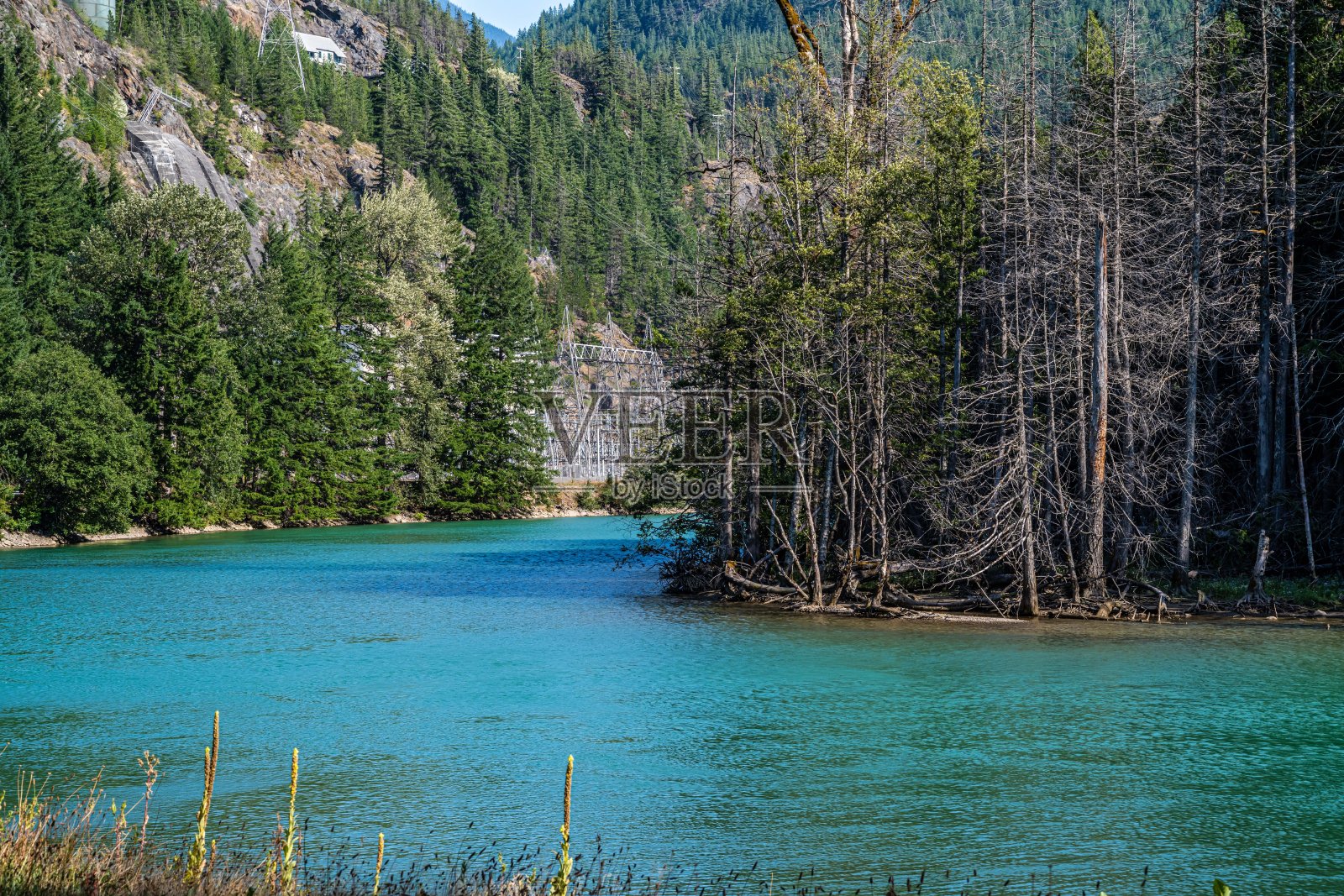 华盛顿州北喀斯喀特NP的俯瞰风景照片摄影图片