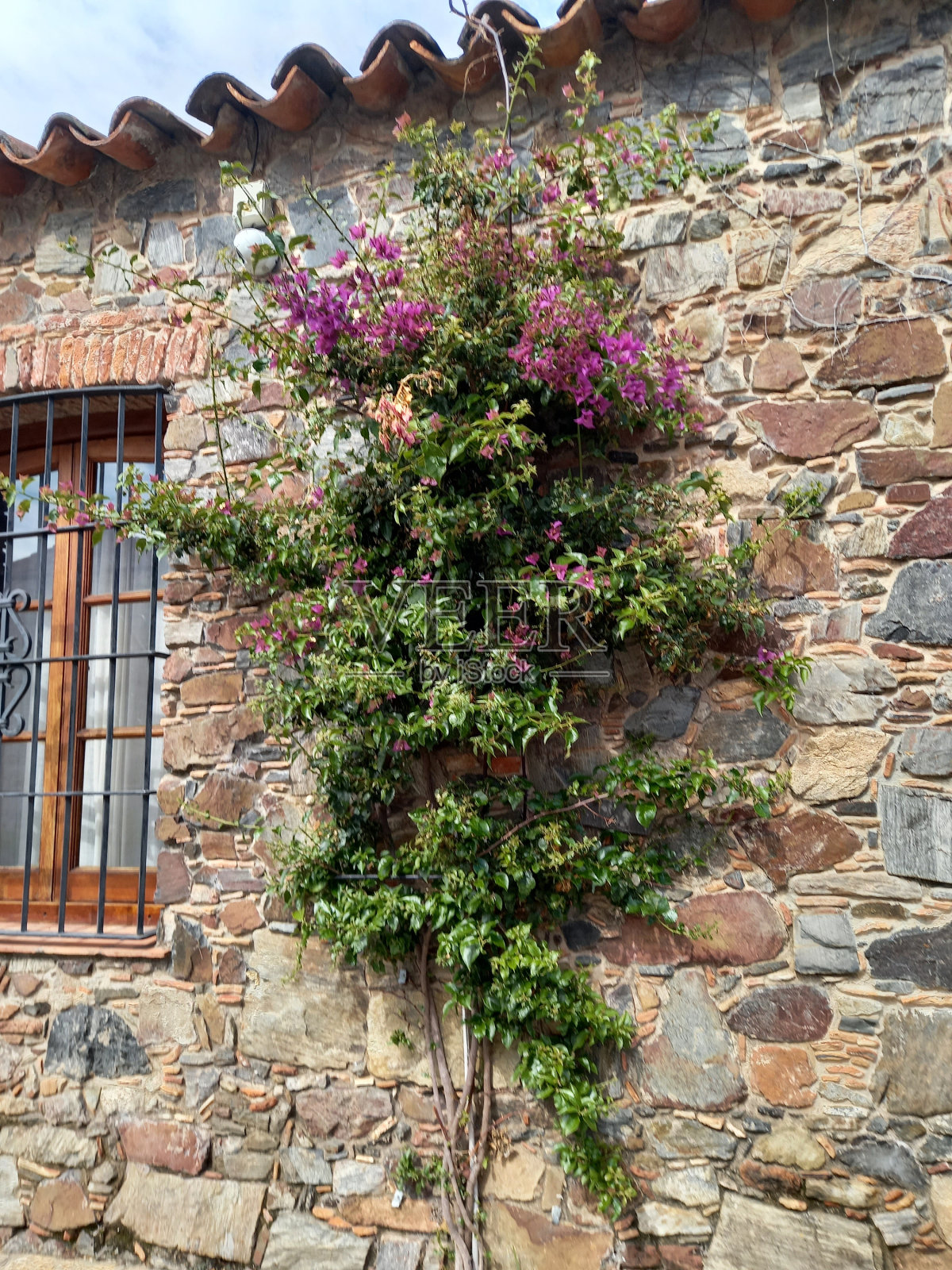 圣礼殖民地照片摄影图片