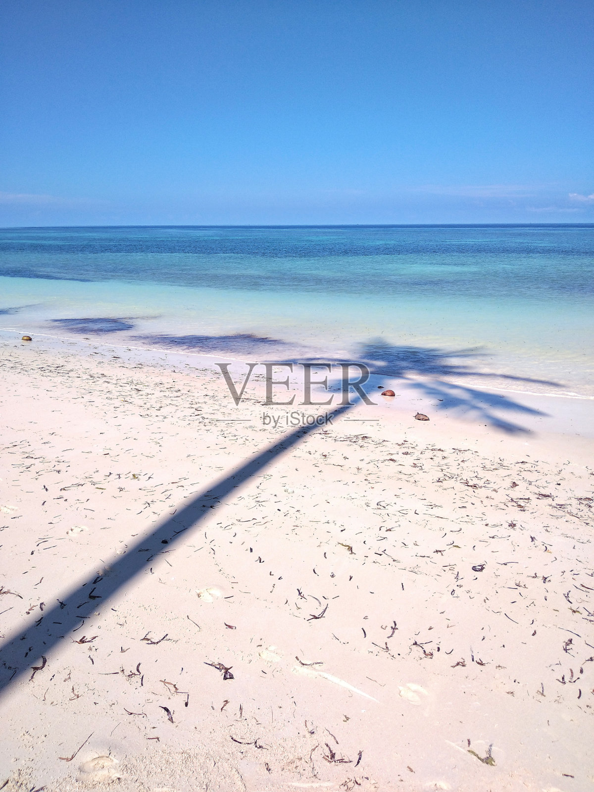 假期照片摄影图片