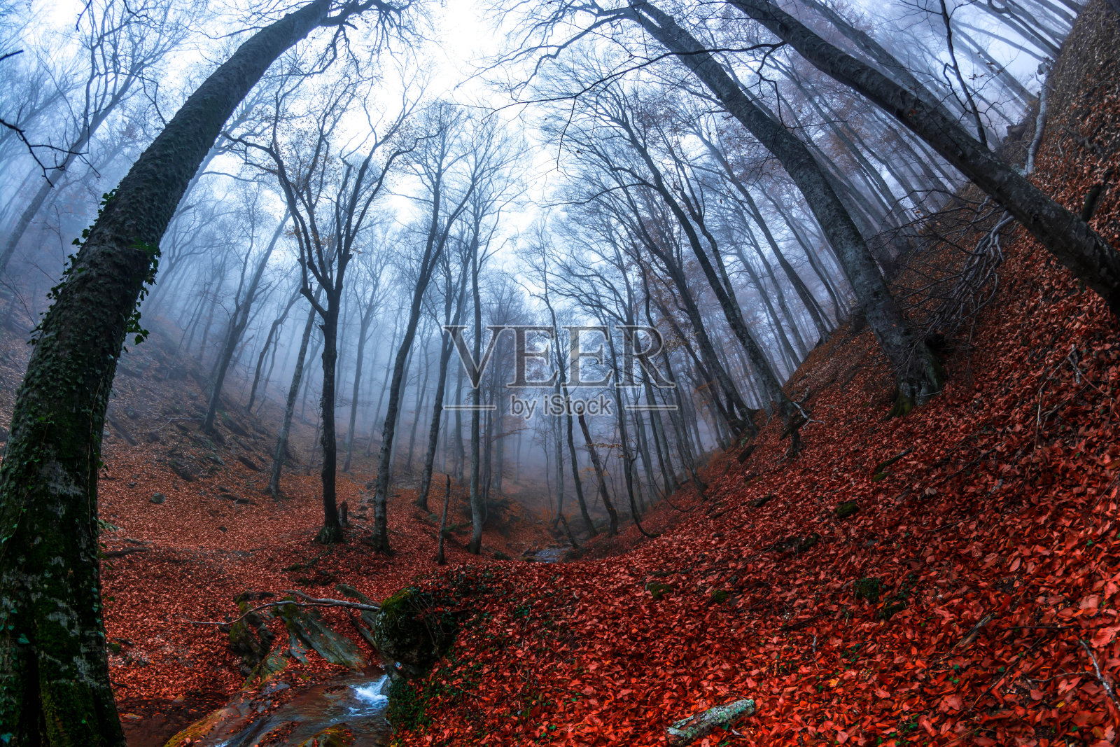 性质3照片摄影图片