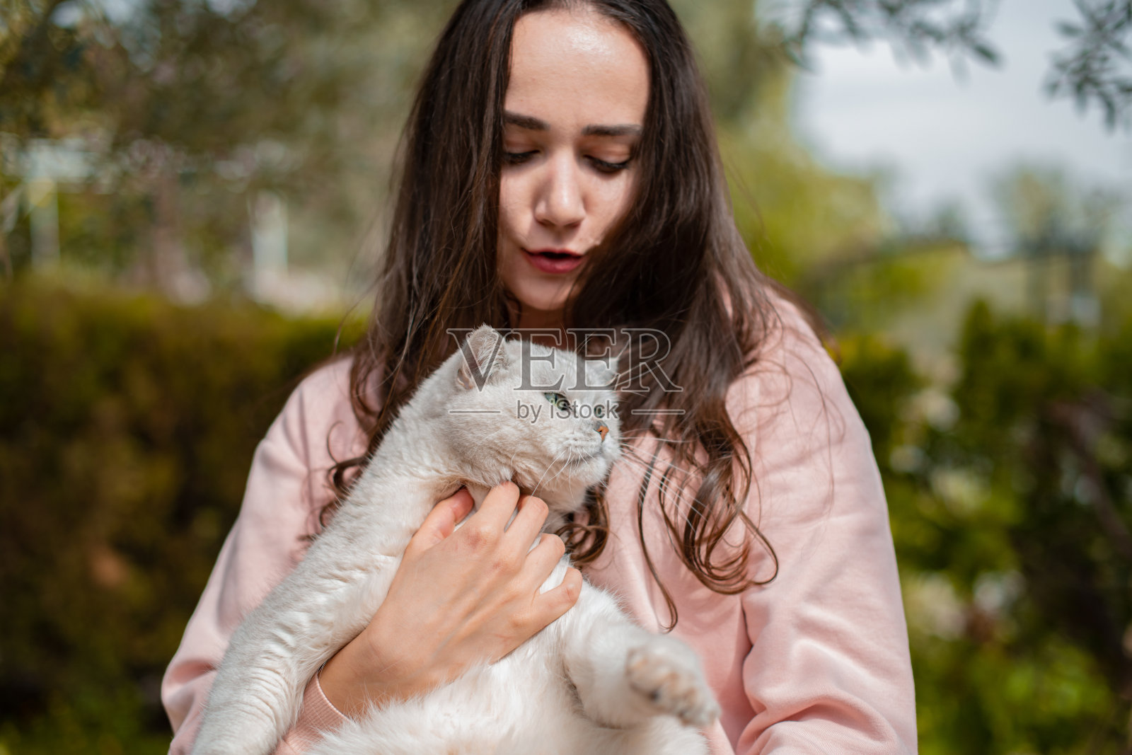 年轻的女人和她的猫在花园里照片摄影图片