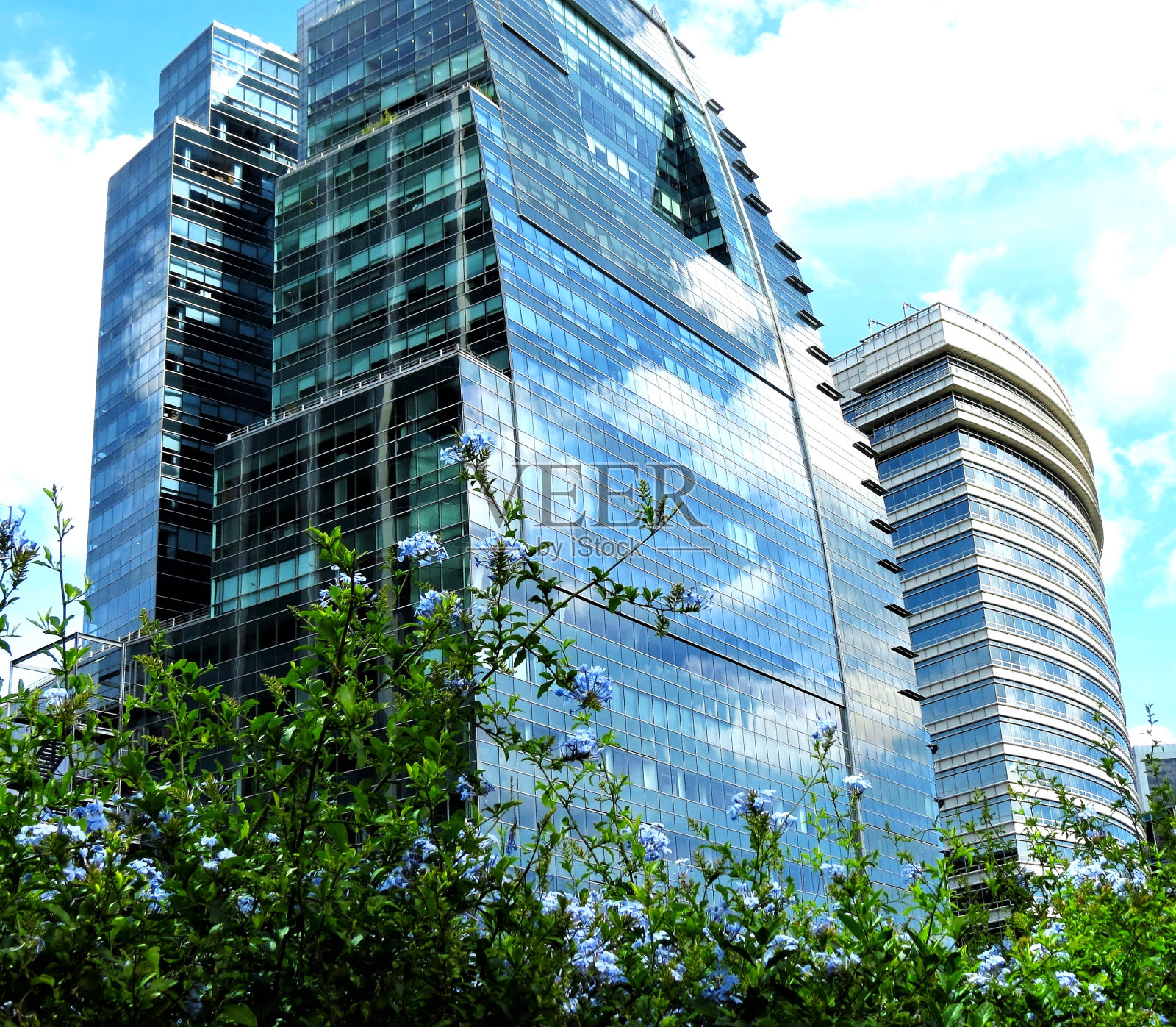 马德罗港的建筑在窗户上的倒影。照片摄影图片