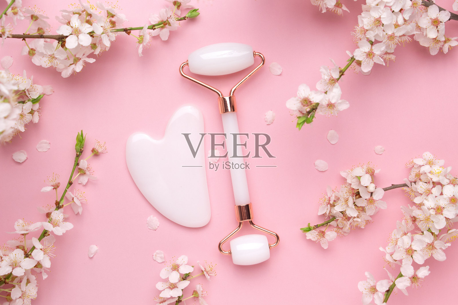 挂沙石，按摩脸辊在一个粉红色的背景上盛开的樱桃。美容面部皮肤护理及水疗。自然治疗的概念照片摄影图片