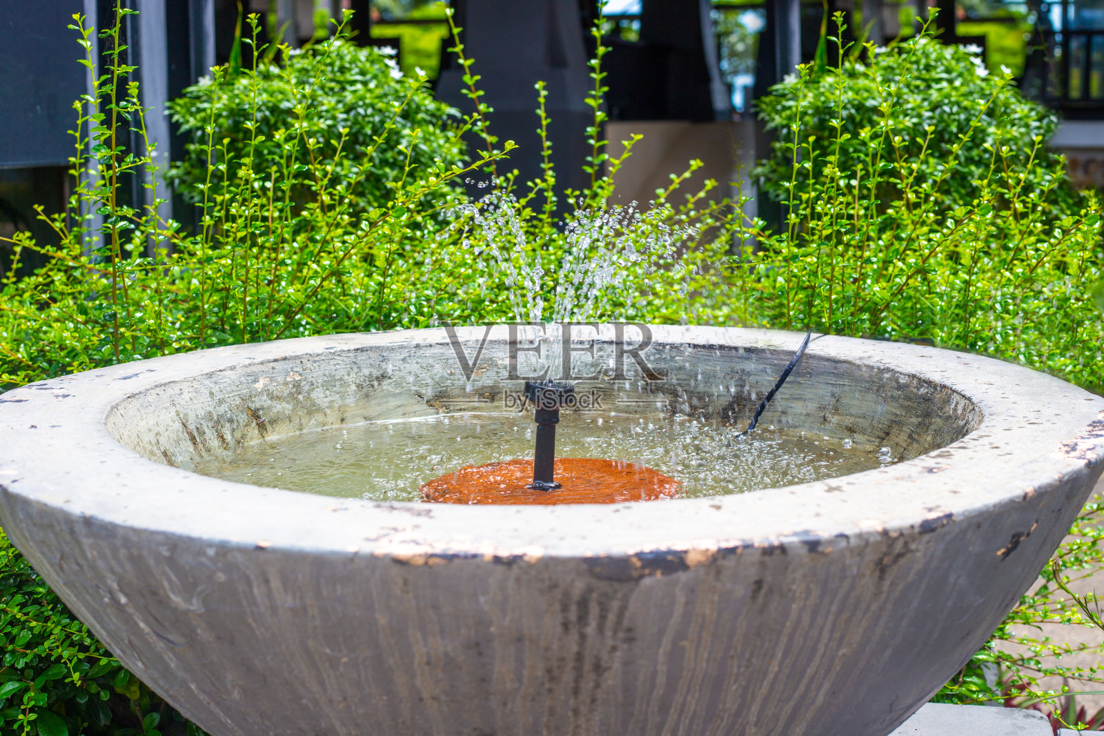 热带花园混凝土碗中的小喷泉。园林设计与装饰照片摄影图片