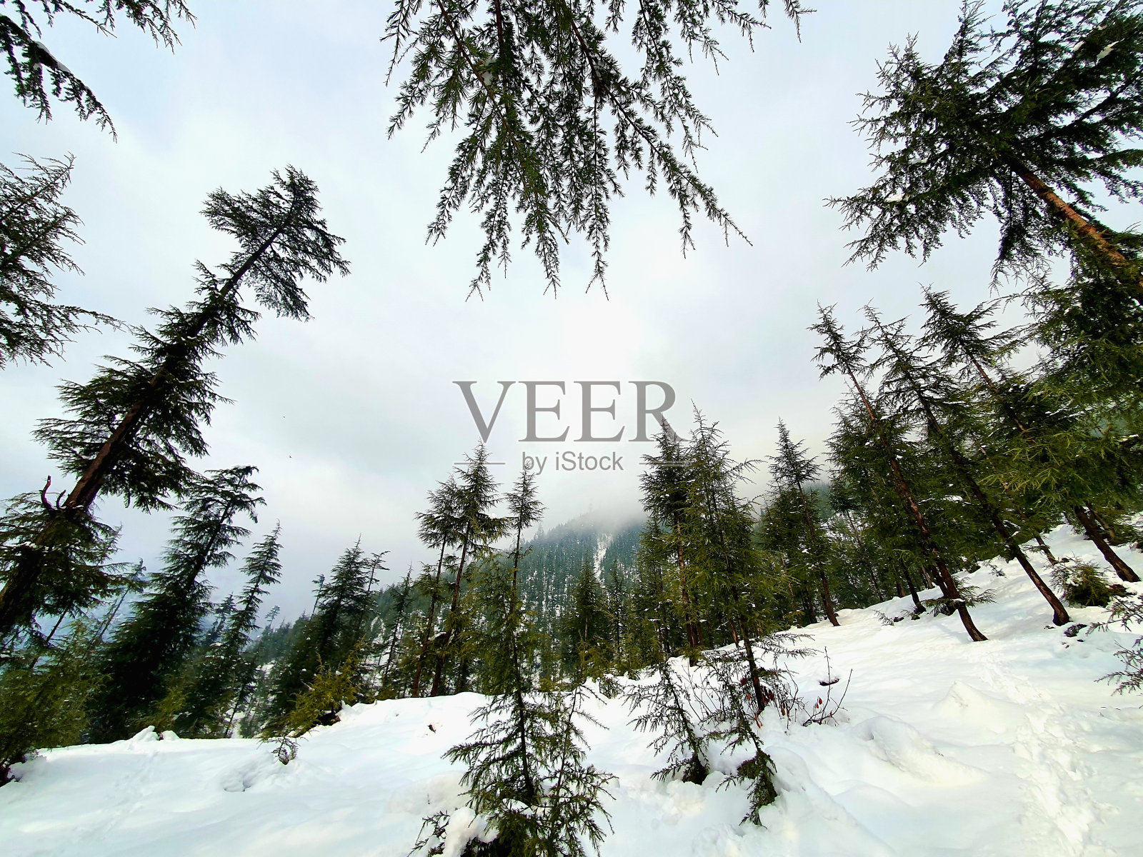 克什米尔的大雪使整个山谷都变成了白色。照片摄影图片