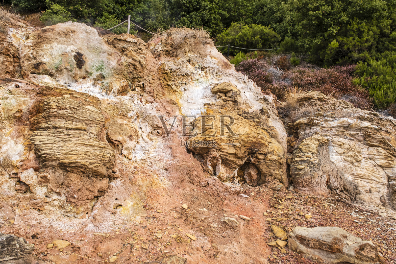 比安坎自然公园-托斯卡纳照片摄影图片