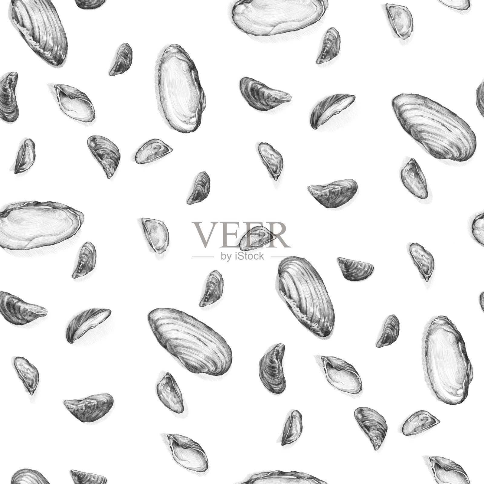铅笔绘图。在白色背景上的孤立的海贝图像的无缝模式。插画图片素材