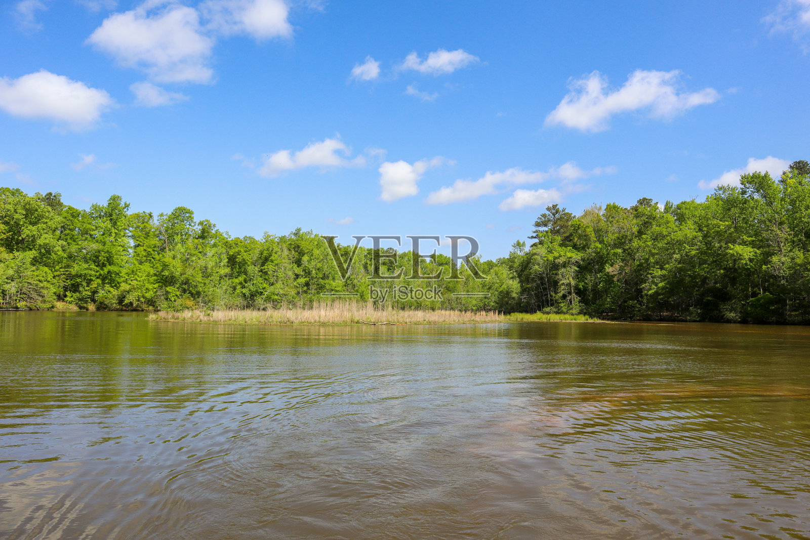 白天湖湾安静照片摄影图片