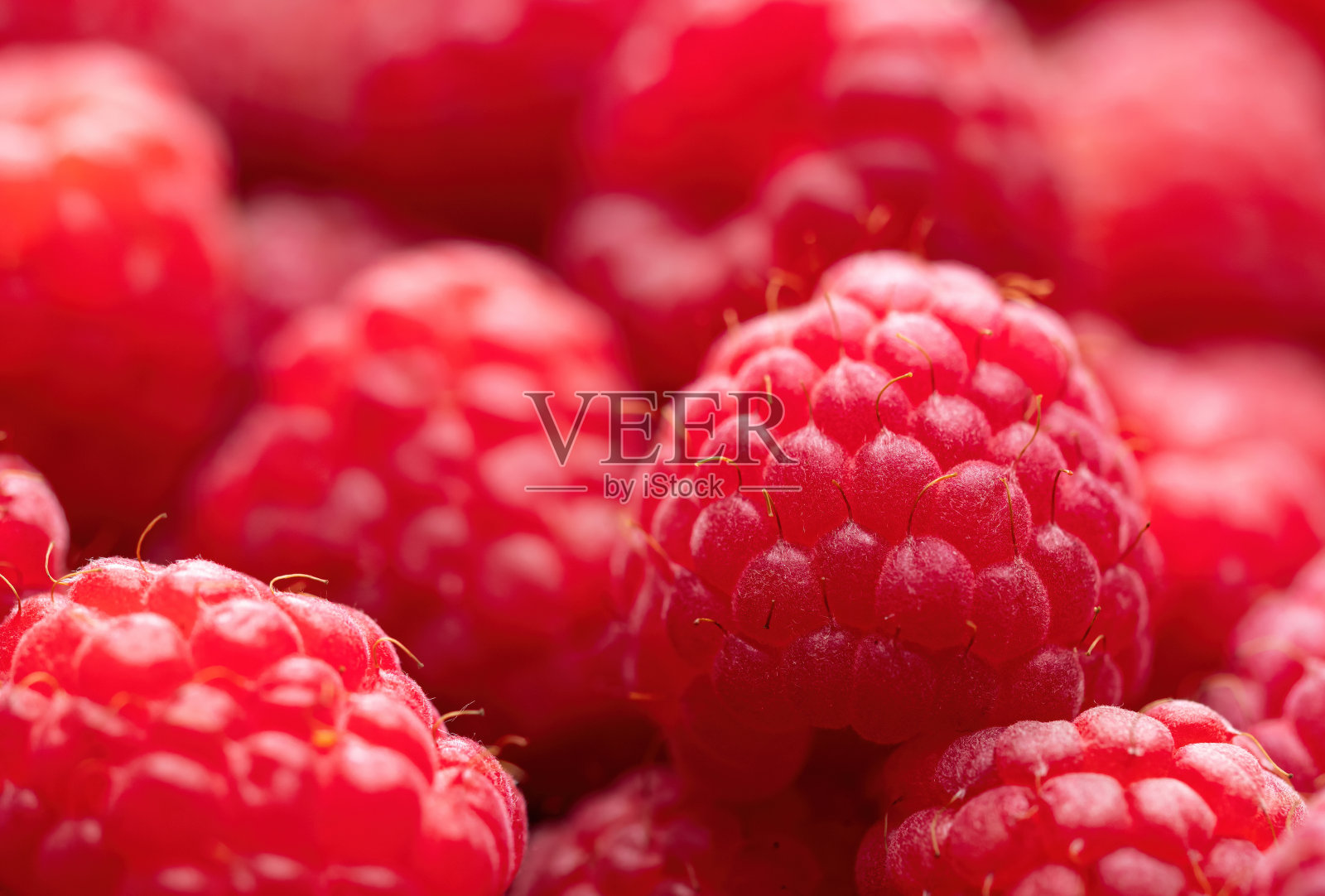 新鲜成熟的红覆盆子背景特写。照片摄影图片