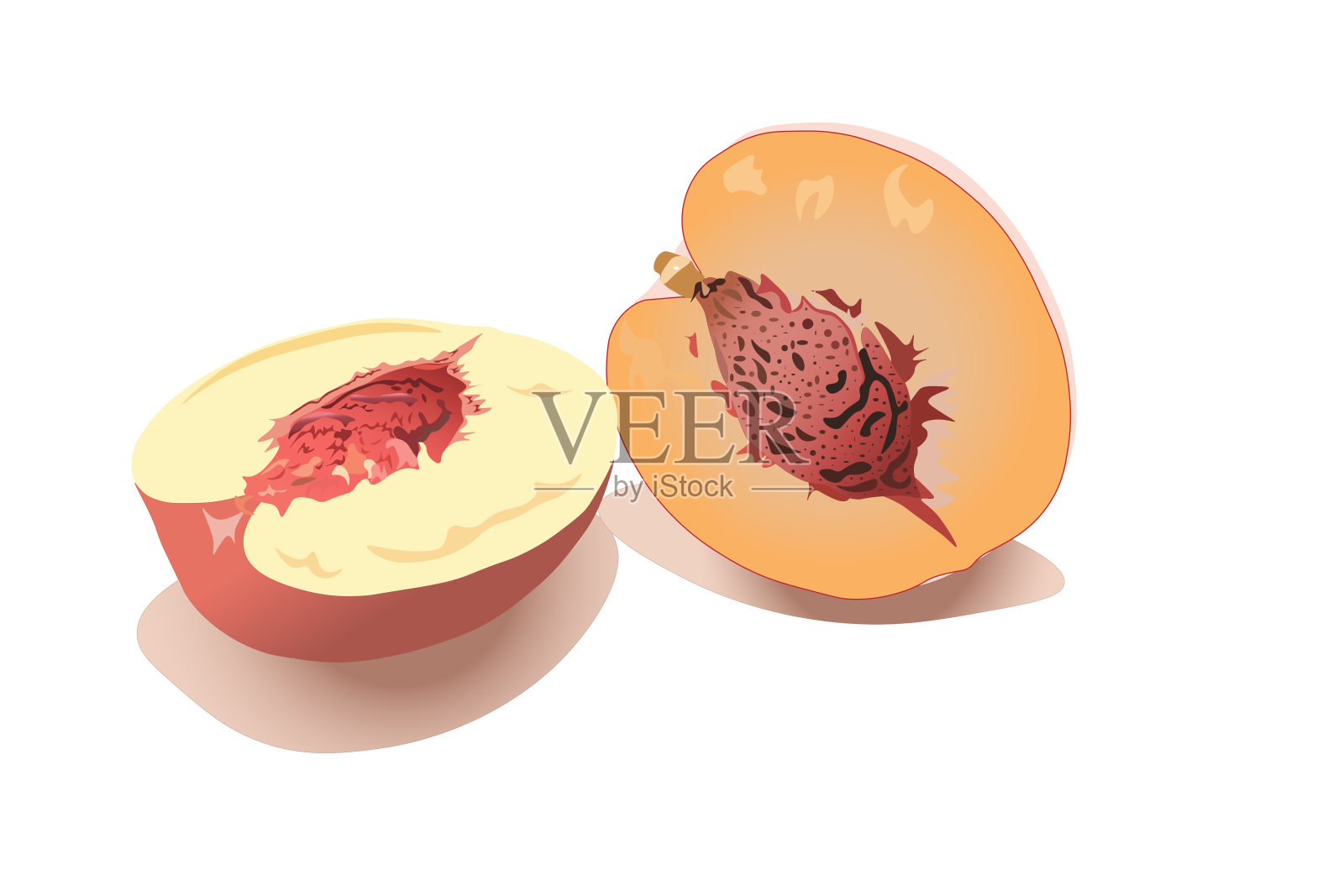 桃切孤立在白色背景。向量,插图插画图片素材