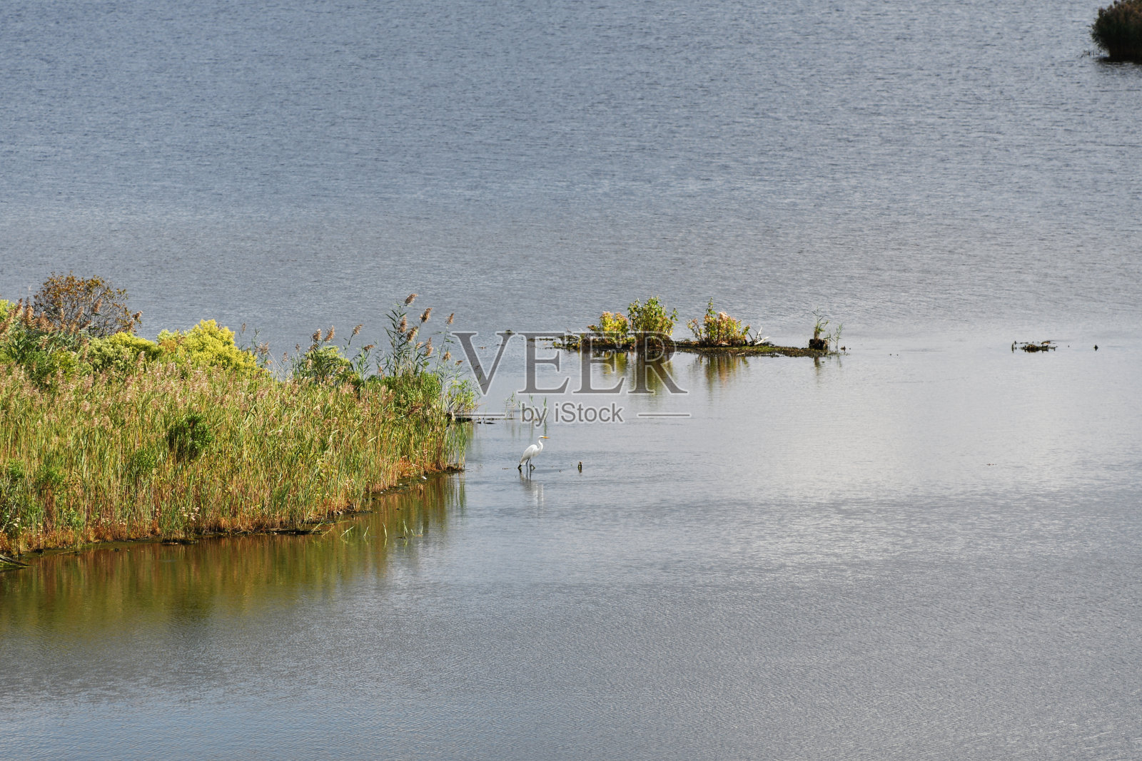 土地照片摄影图片