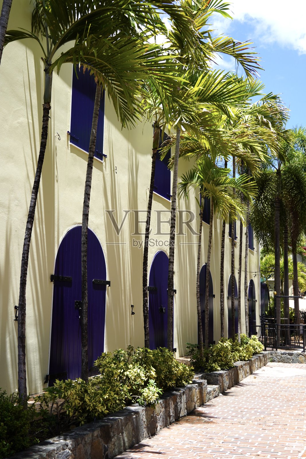 夏洛特·阿玛莉·圣托马斯照片摄影图片