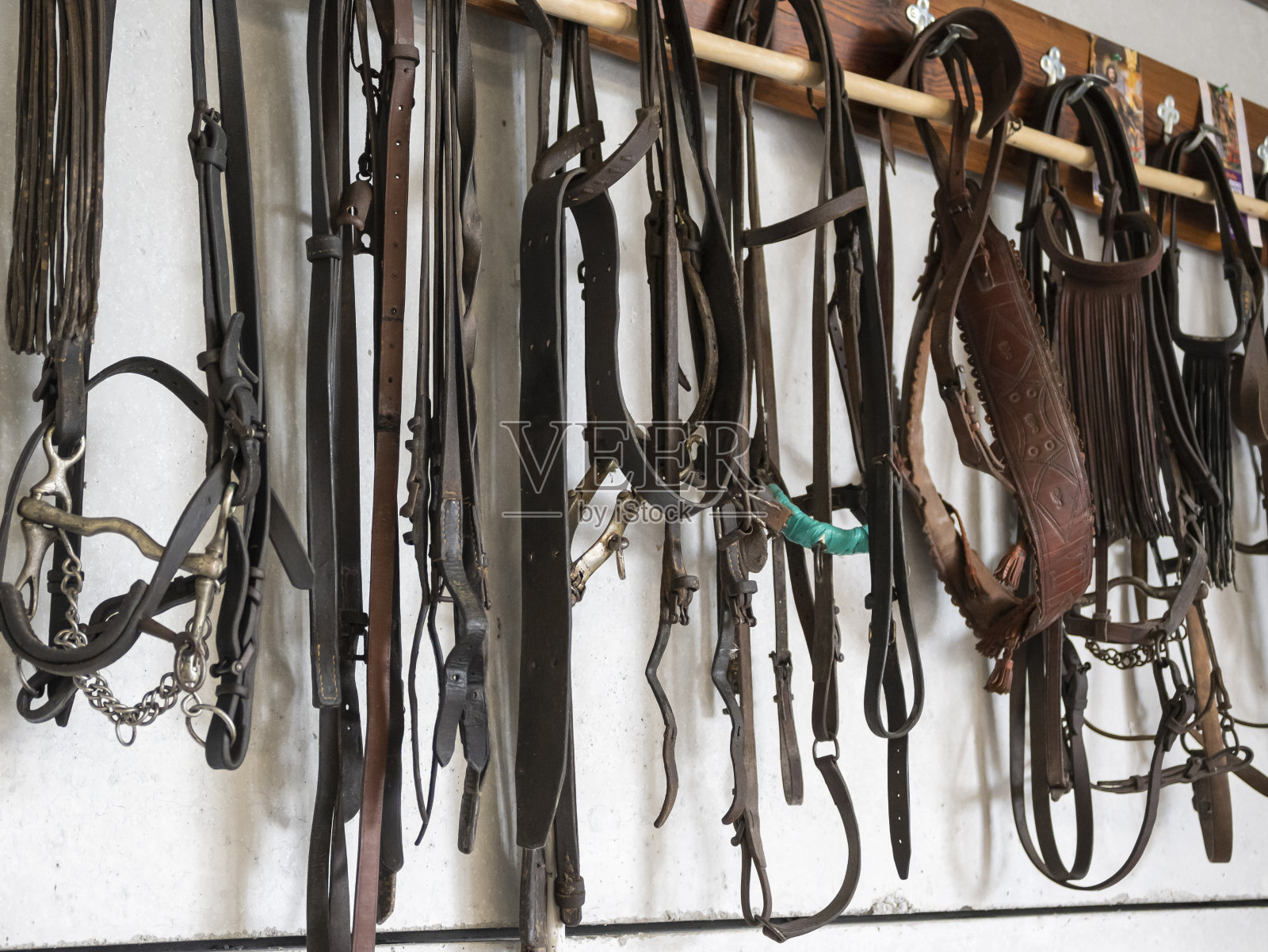 旧缰绳和马具挂在墙上照片摄影图片