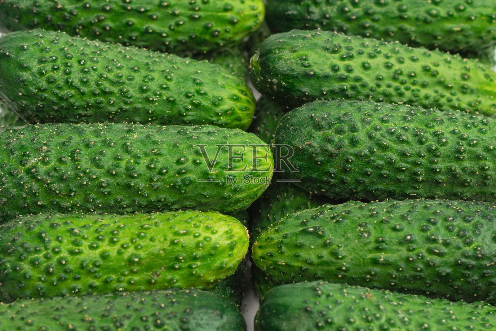 新鲜的绿色黄瓜作为背景照片摄影图片