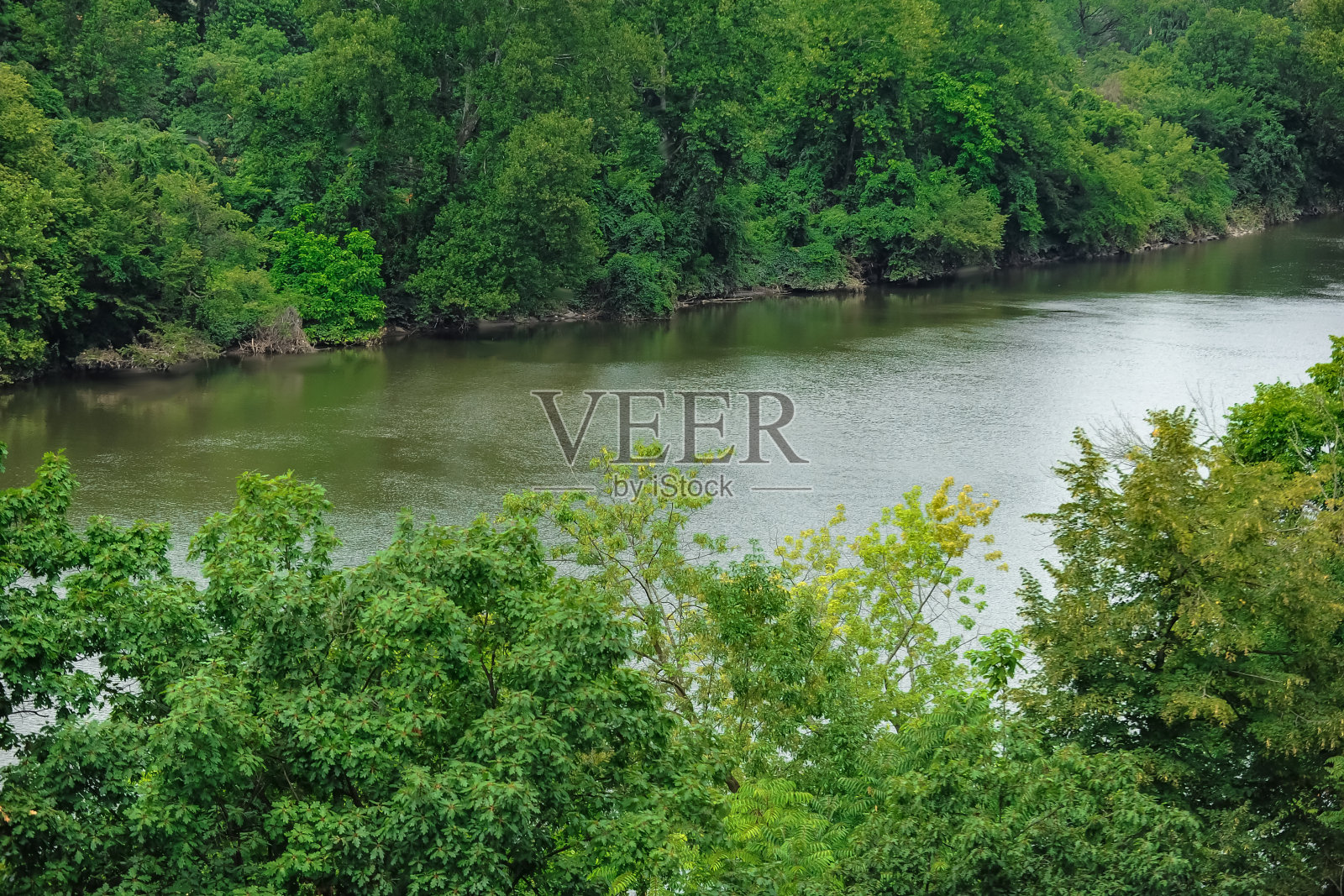 夏天的河照片摄影图片