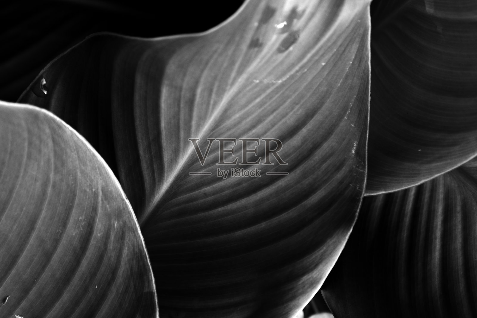 阴影和光明照片摄影图片