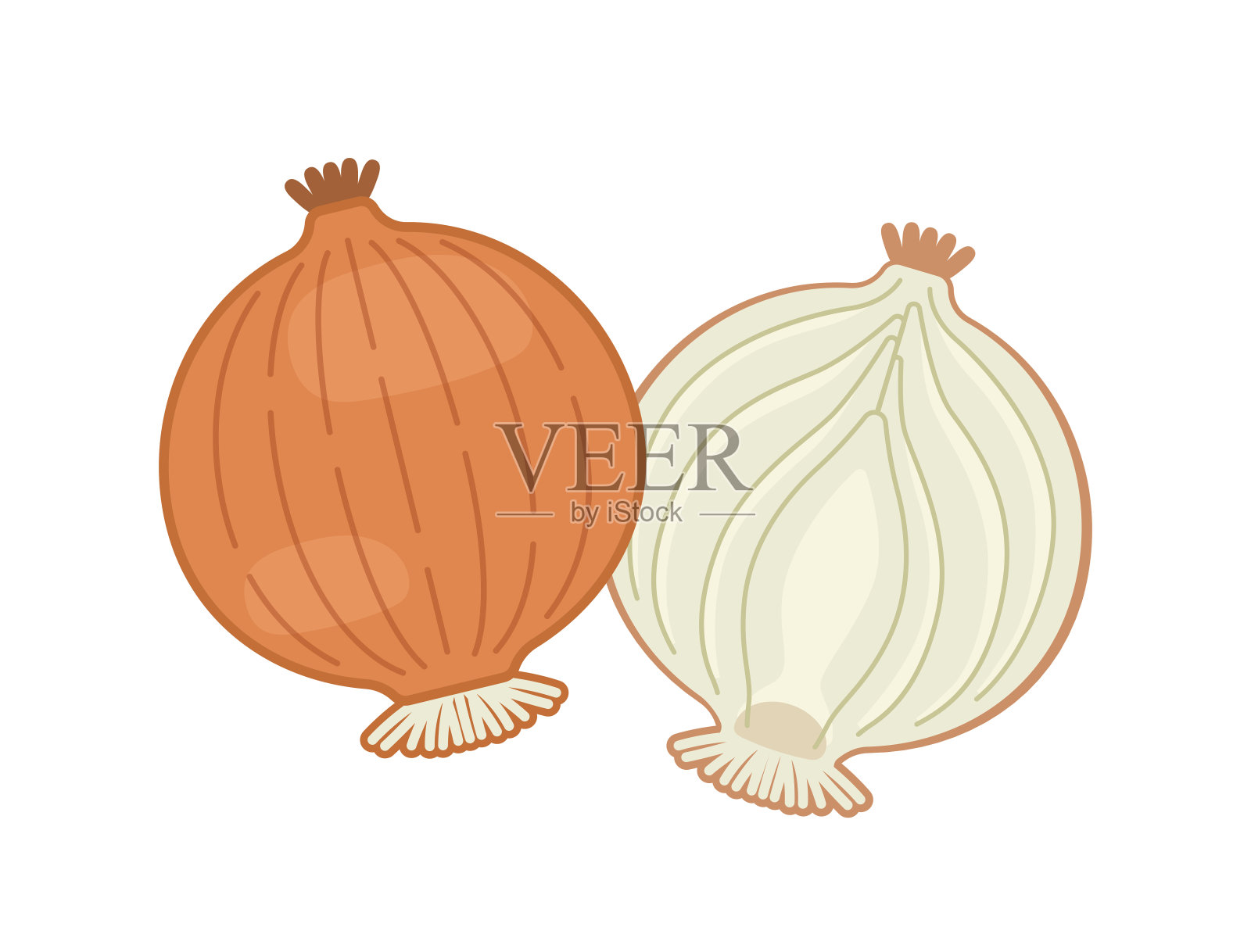 矢量整和一半的洋葱插画图片素材