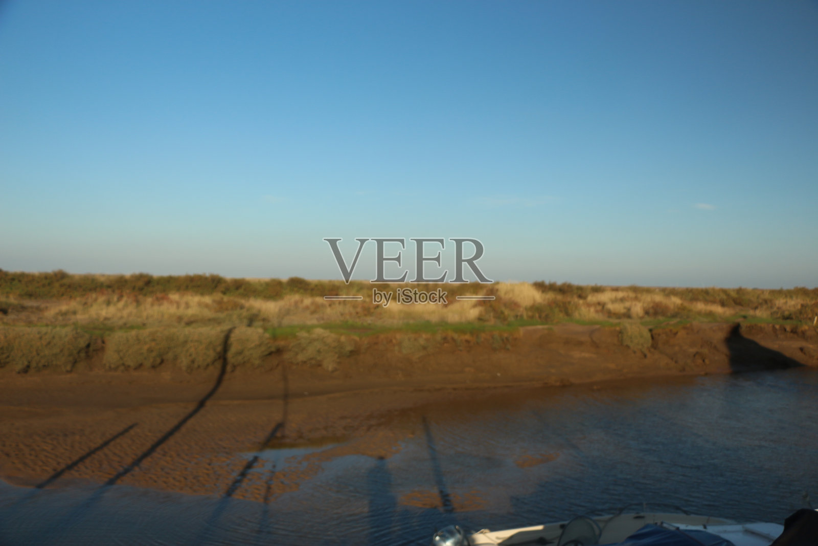 英国诺福克郡的布莱克尼附近，普通的海豹在水里游泳，在海滩上晒太阳。照片摄影图片