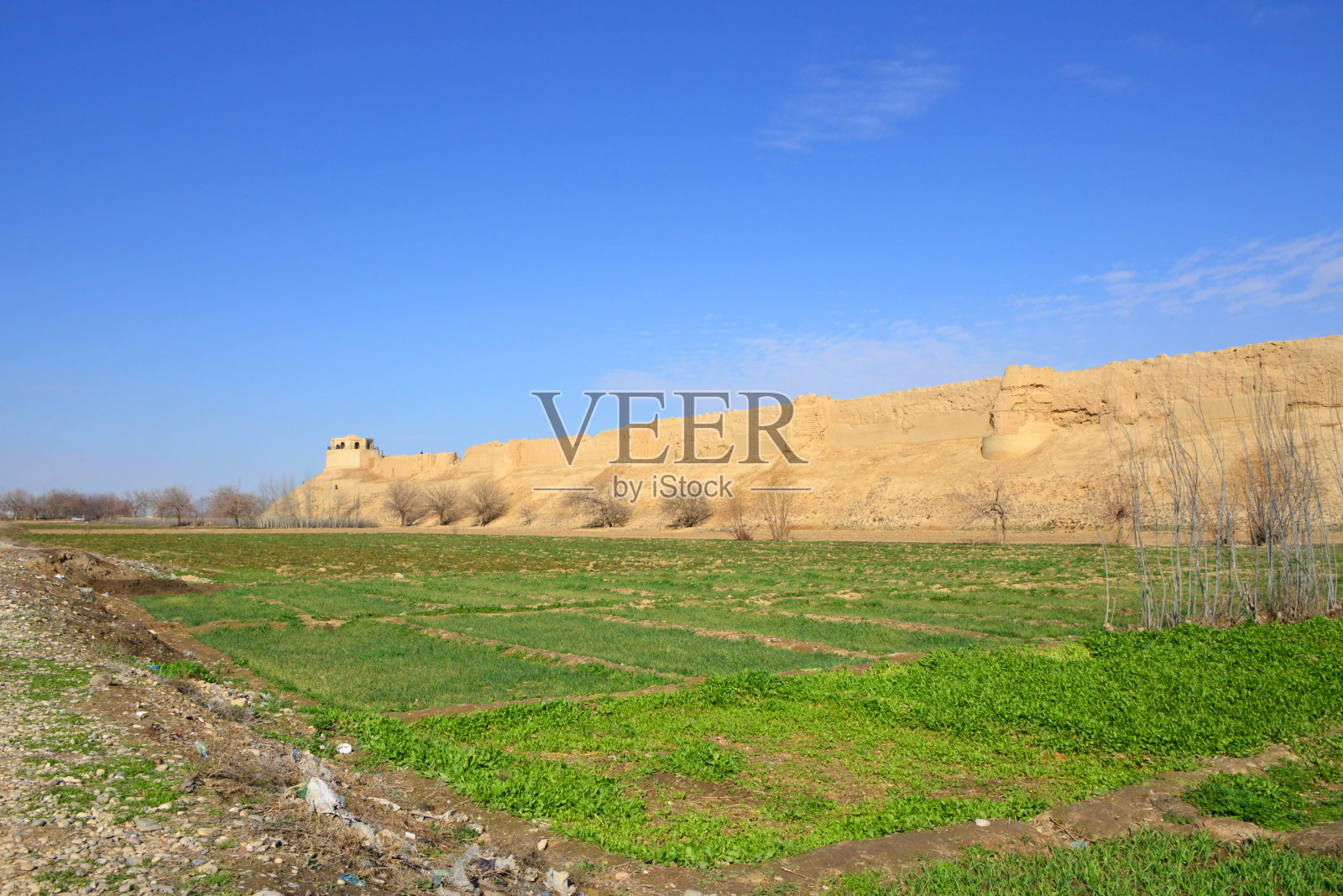 巴尔赫城墙和农田，巴尔赫，巴尔赫省，阿富汗照片摄影图片