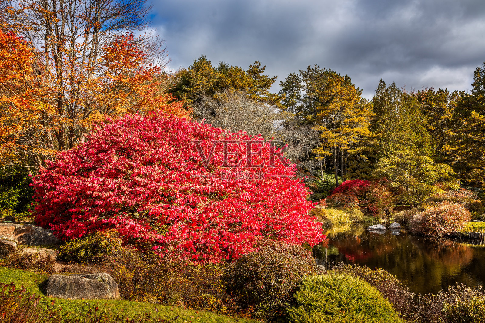 新英格兰，田园诗般的小池塘，树叶在秋天五彩缤纷照片摄影图片