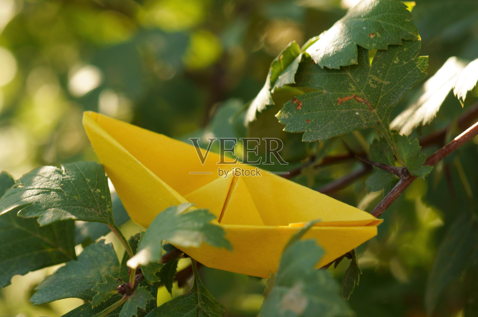 树枝上的黄色折纸船。秋叶之静美。照片摄影图片