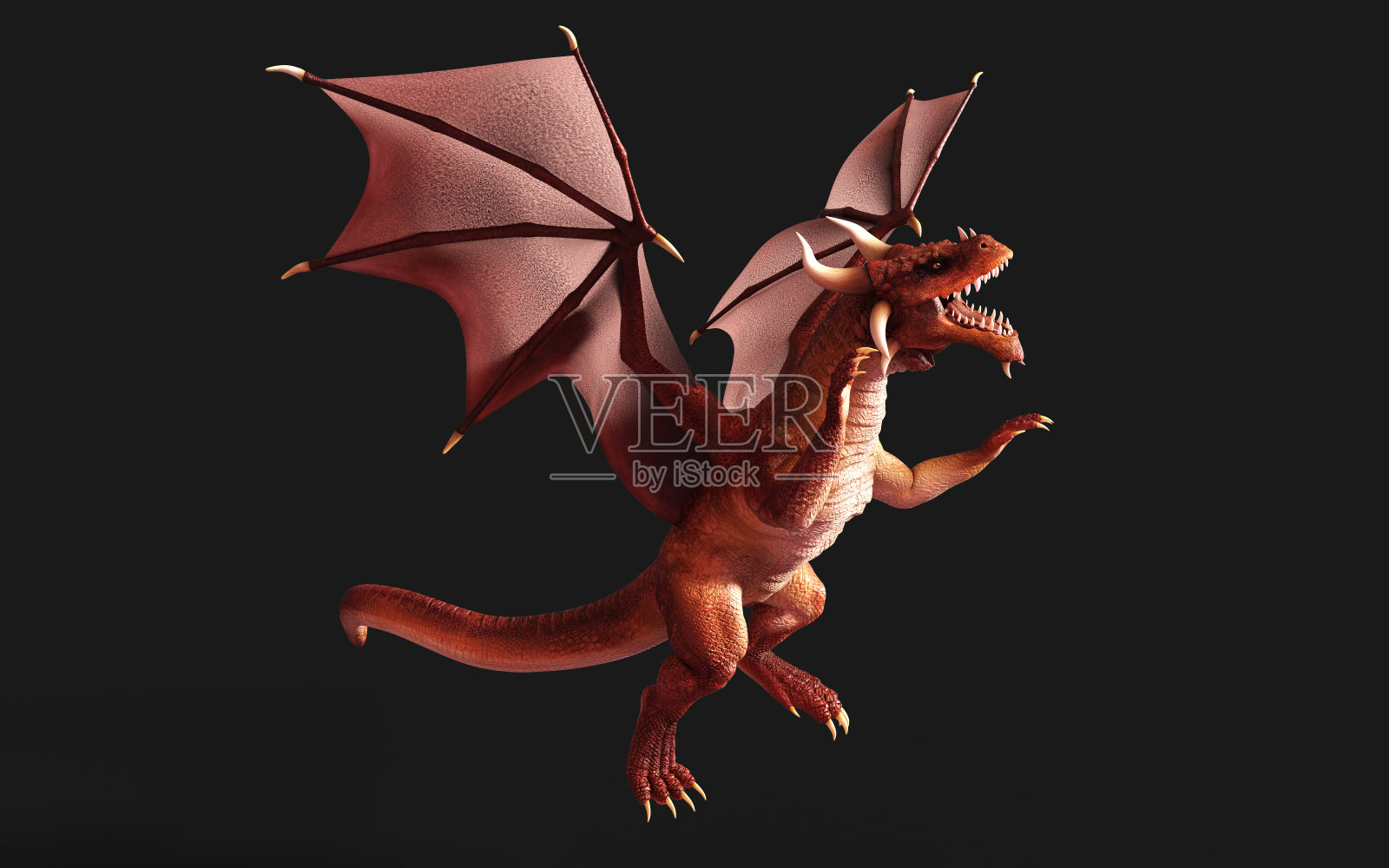 一只红色的幻想龙在黑色背景上摆出孤立的姿势照片摄影图片