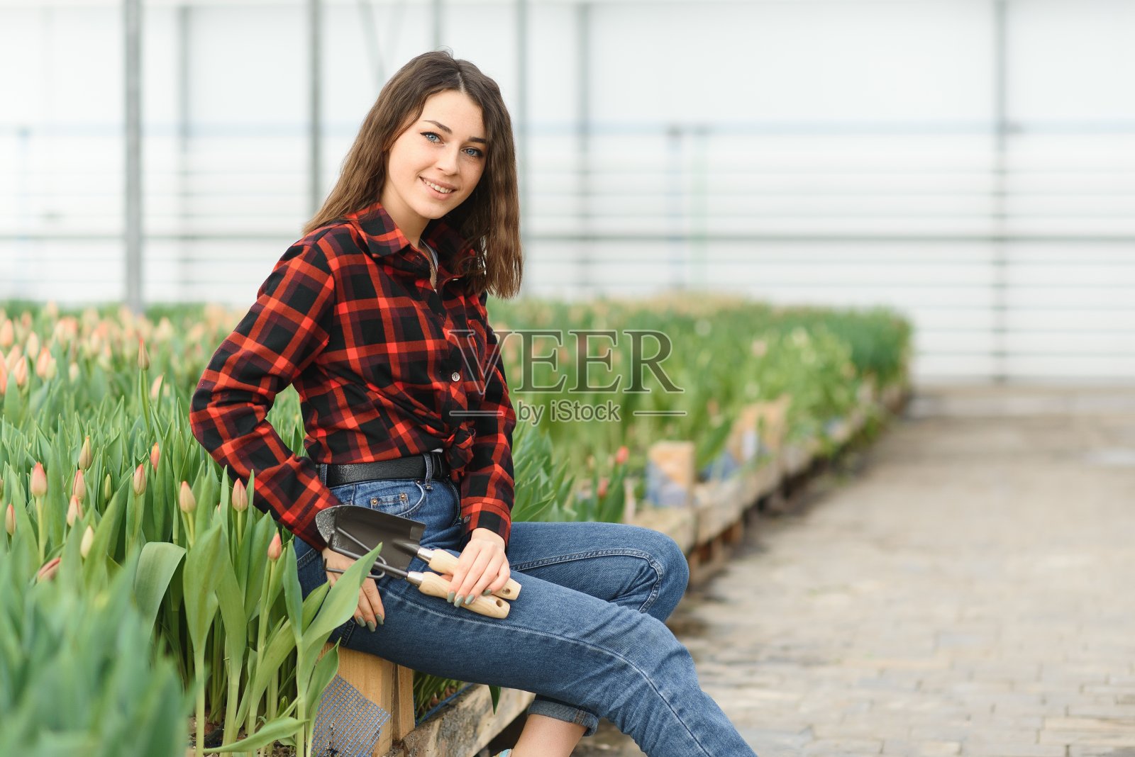 美丽的年轻微笑女孩平板，工人花在温室。温室里的概念性工作，花。照片摄影图片