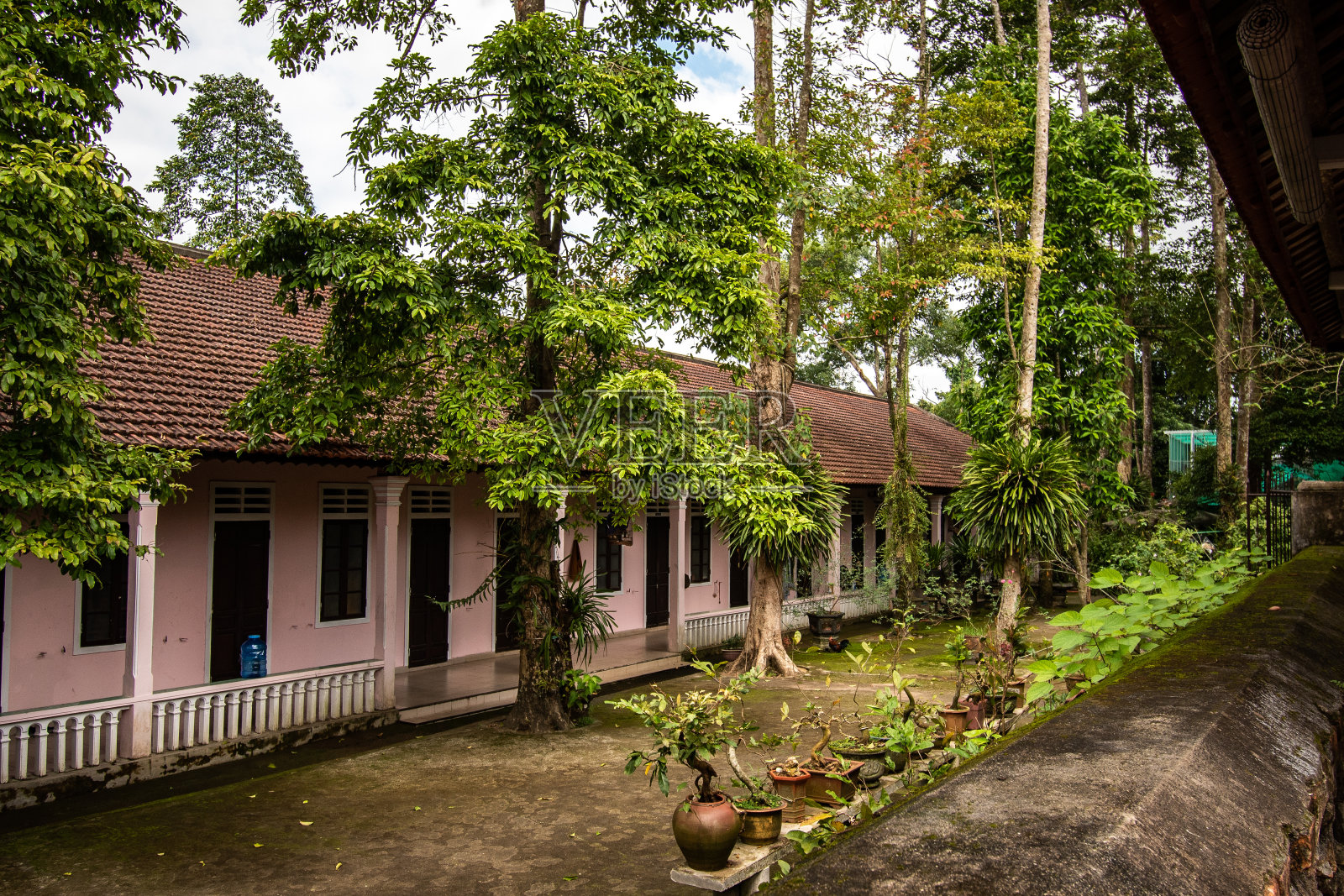 你的天塔照片摄影图片