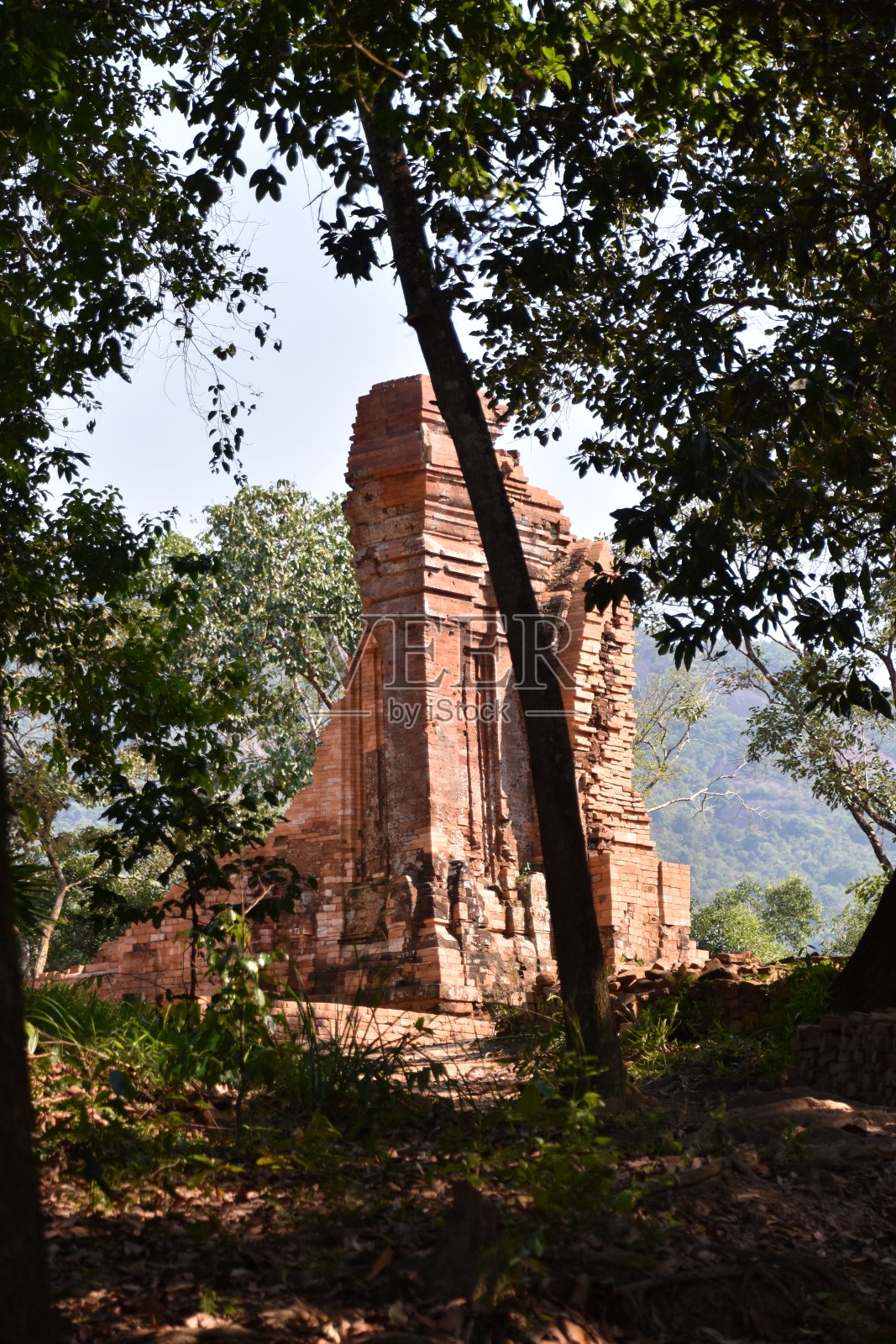 占族印度教寺庙在H组，美山圣地照片摄影图片