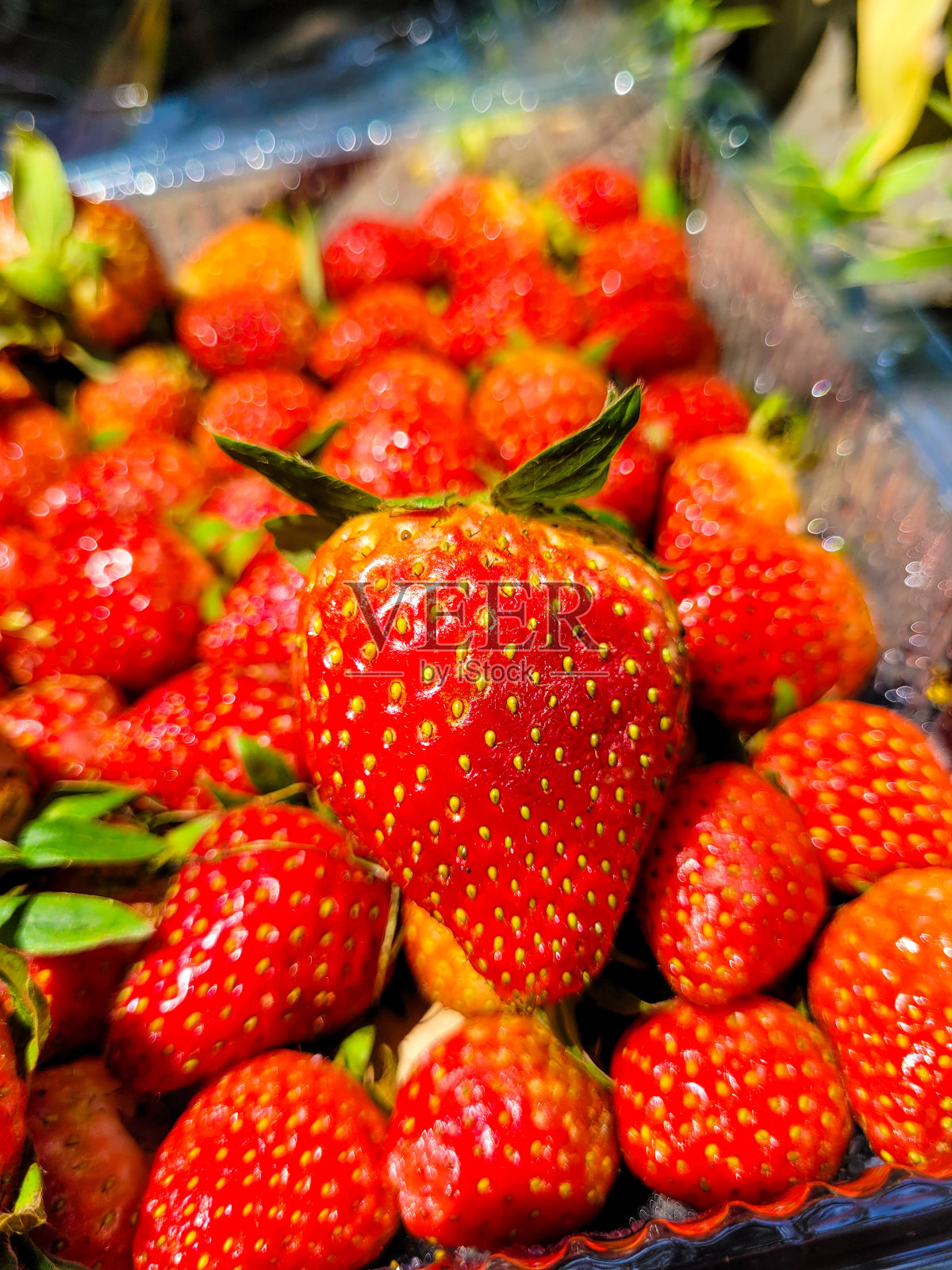 草莓水果照片摄影图片