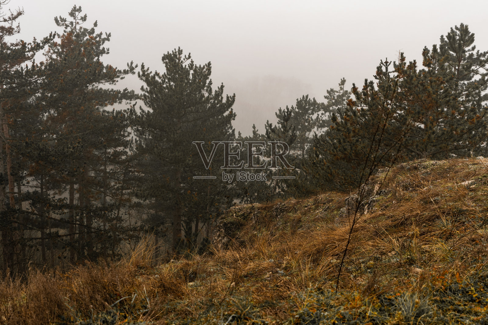 大雾天山边的岩石照片摄影图片