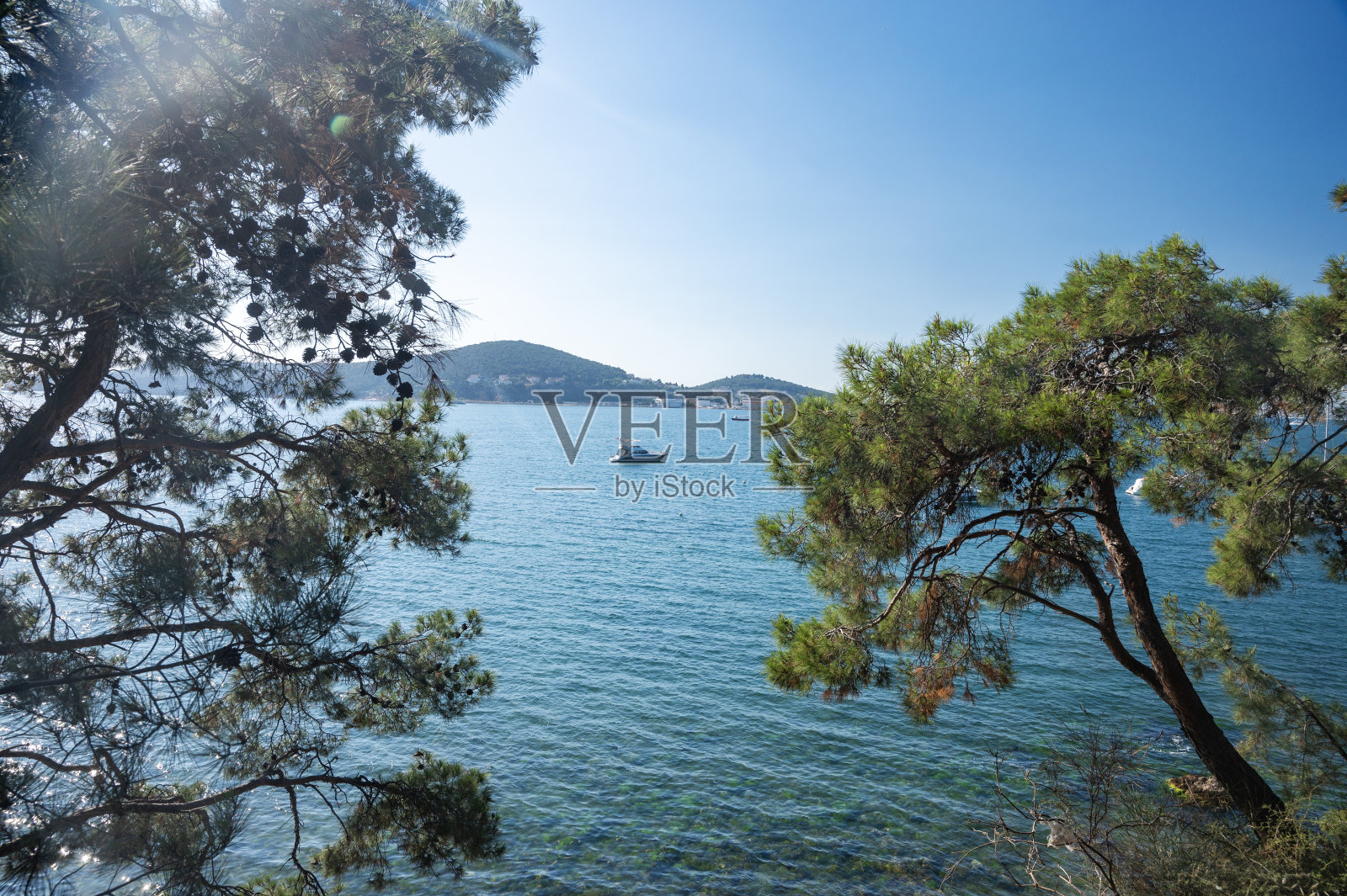 黑海的美丽全景，背景是游艇和岛屿。在一个阳光明媚的夏日，有树木和松树的海岸。照片摄影图片