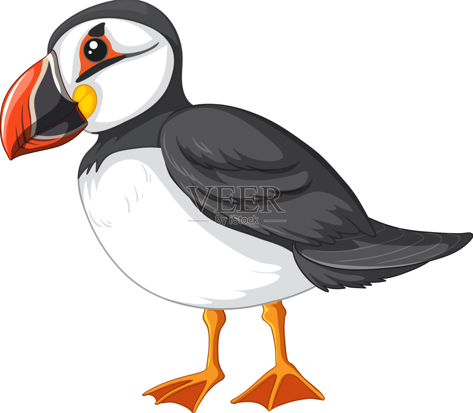 白色背景上的大西洋海雀鸟设计元素图片