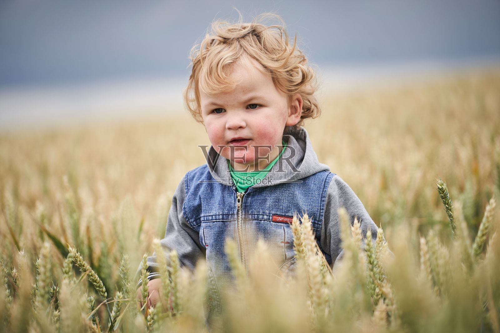 金发白人小男孩站在麦田里照片摄影图片