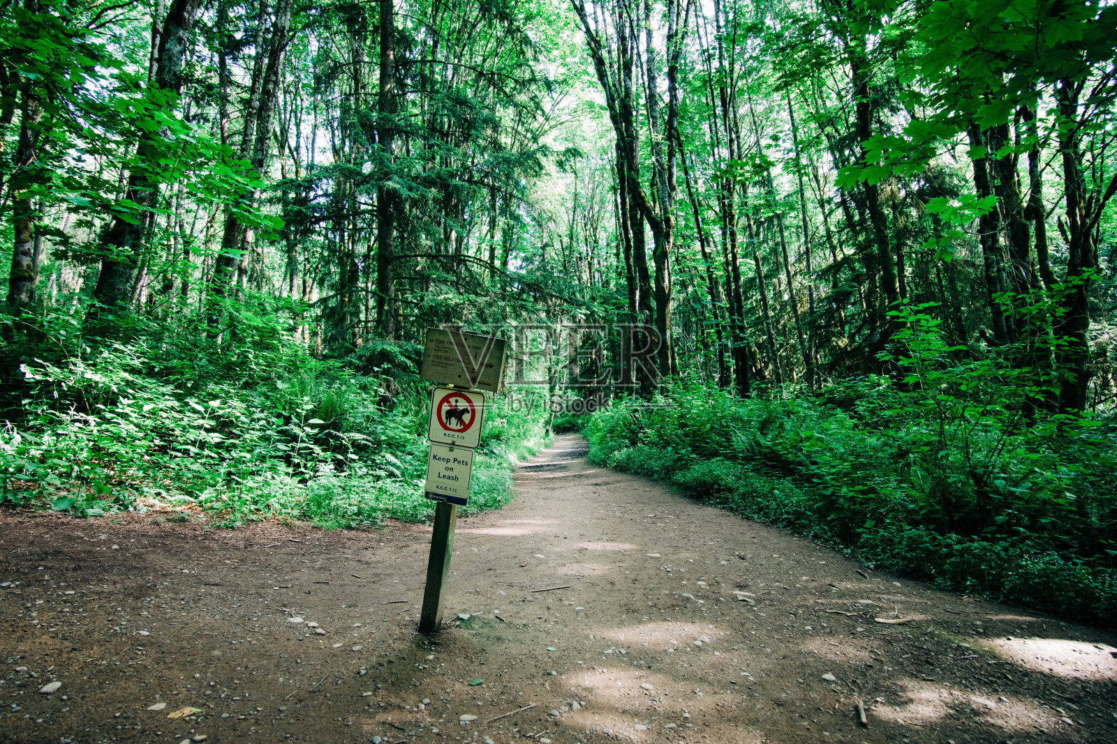 一个徒步标志的特写镜头和后面延伸的小径照片摄影图片