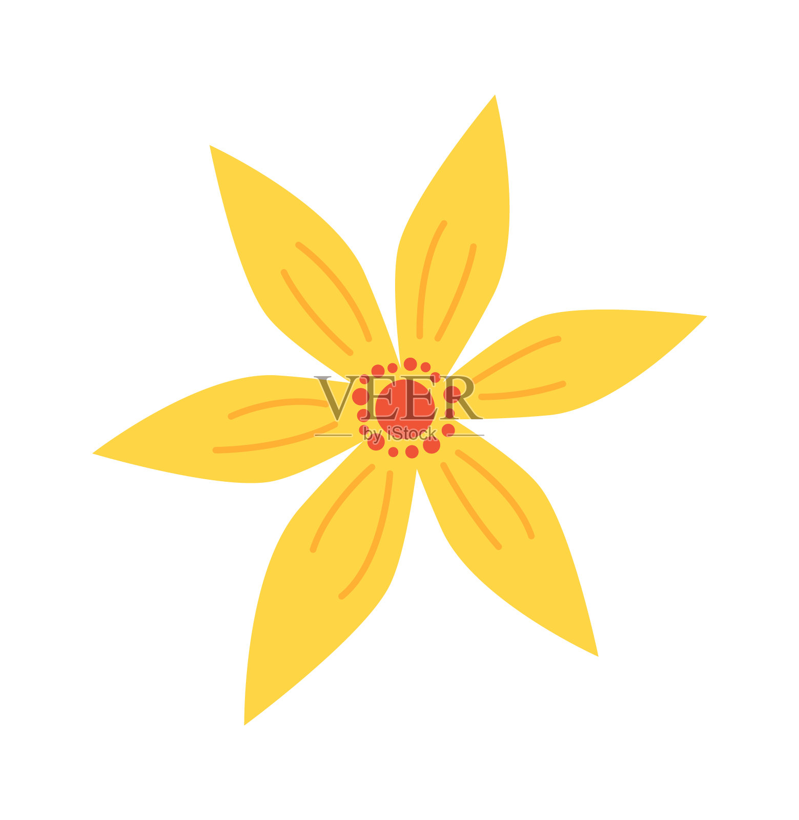 单瓣黄色夏季花野生水仙插画图片素材