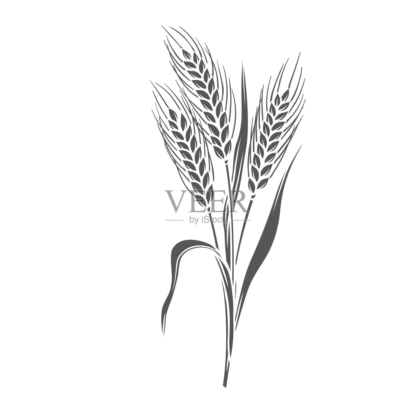 大麦谷物作物字形图标插画图片素材