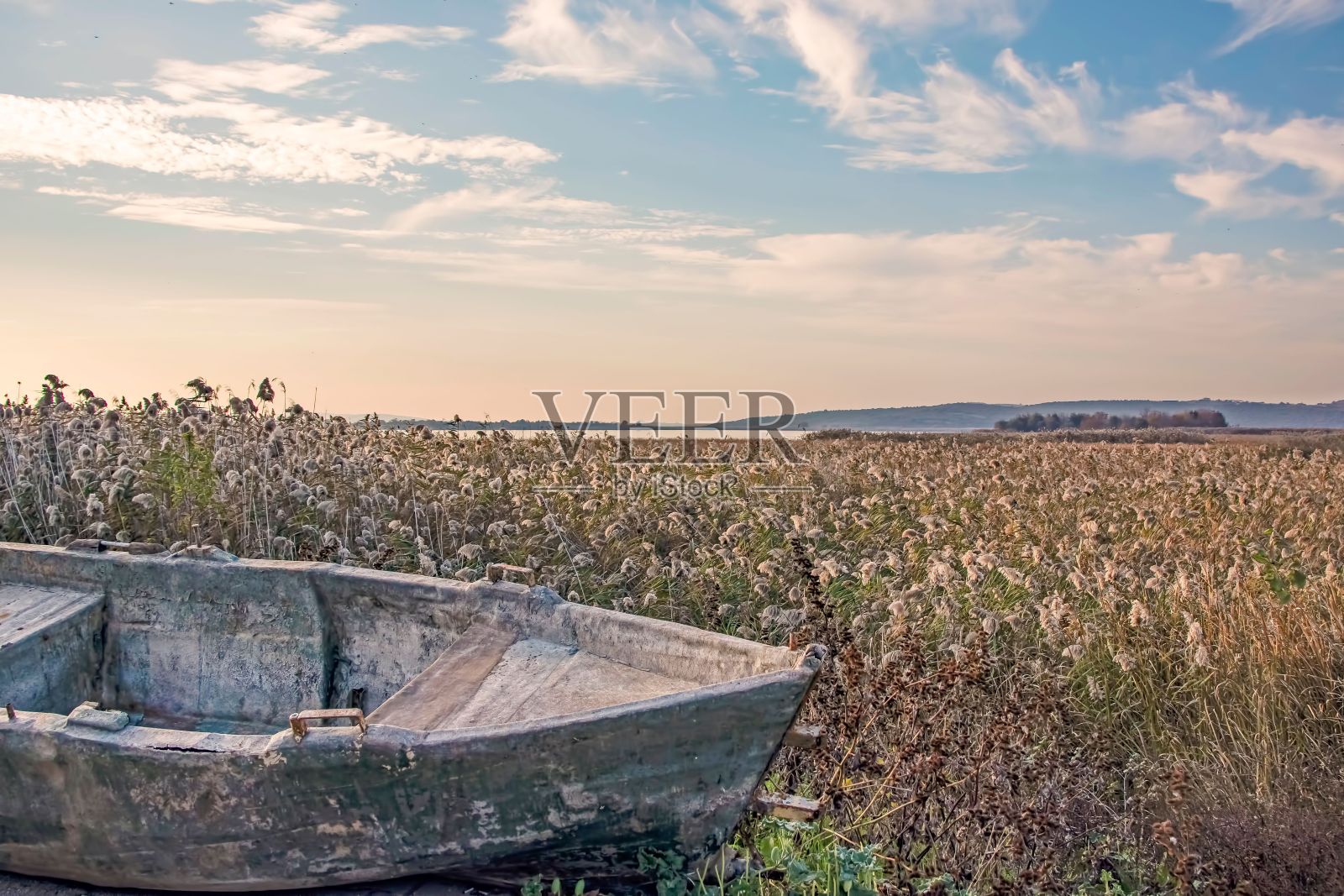 湖上的芦苇和一条旧船照片摄影图片