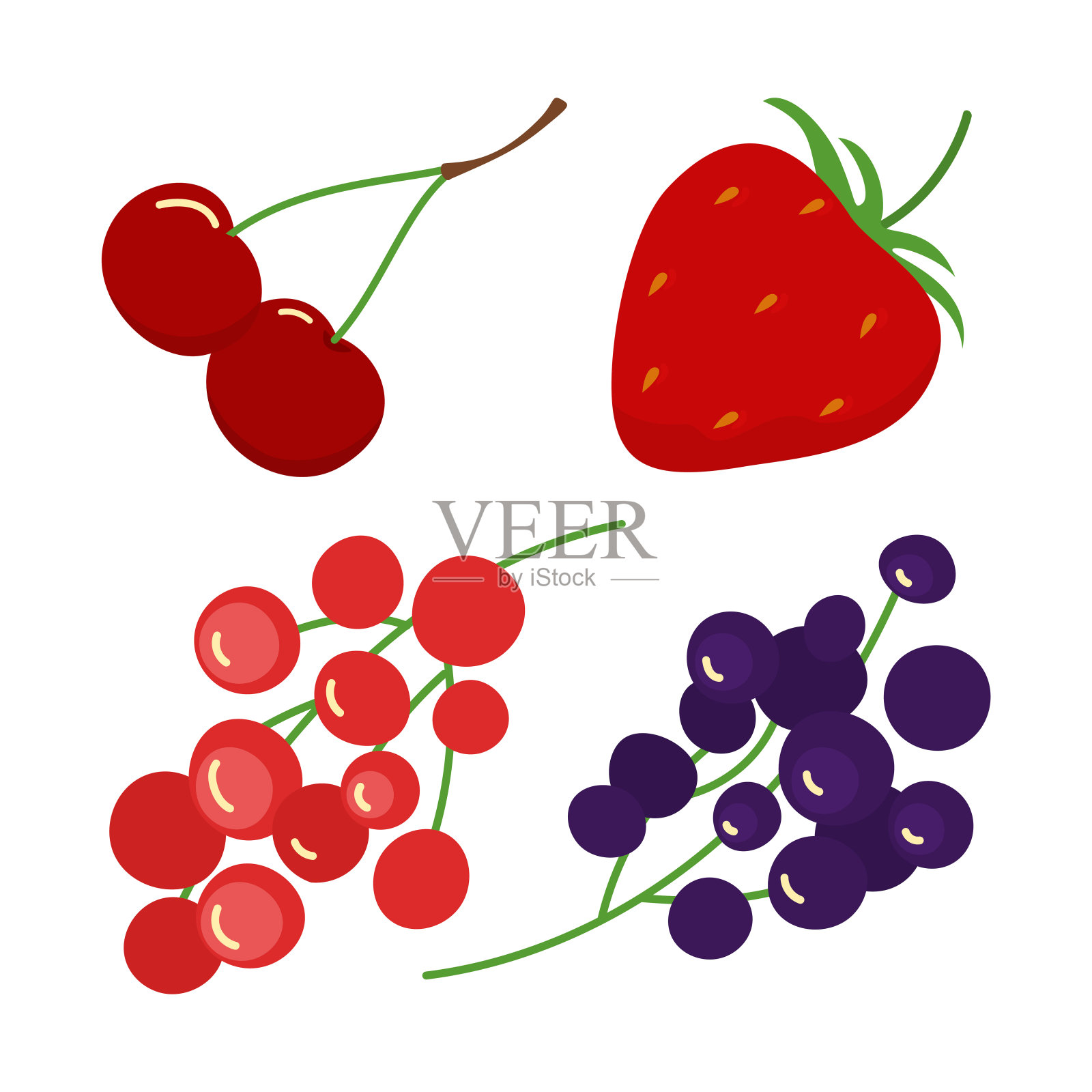 不同的新鲜浆果矢量插图集插画图片素材