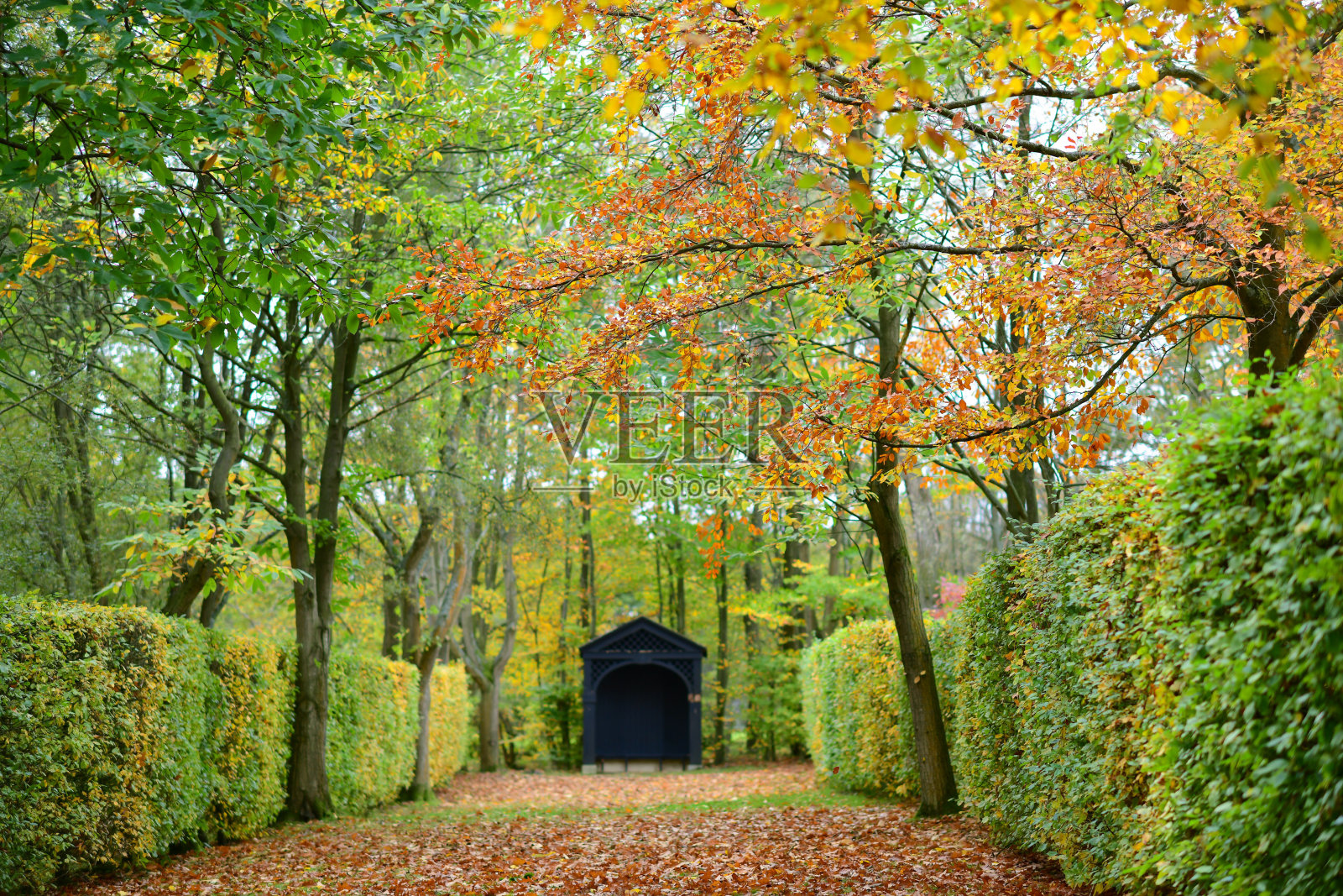 秋天公园大自然的美丽照片照片摄影图片