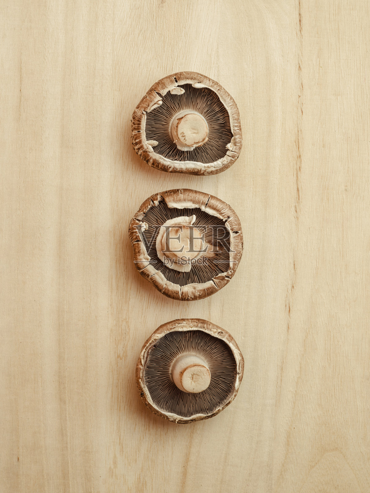 稀疏的波多贝菇静物照片摄影图片