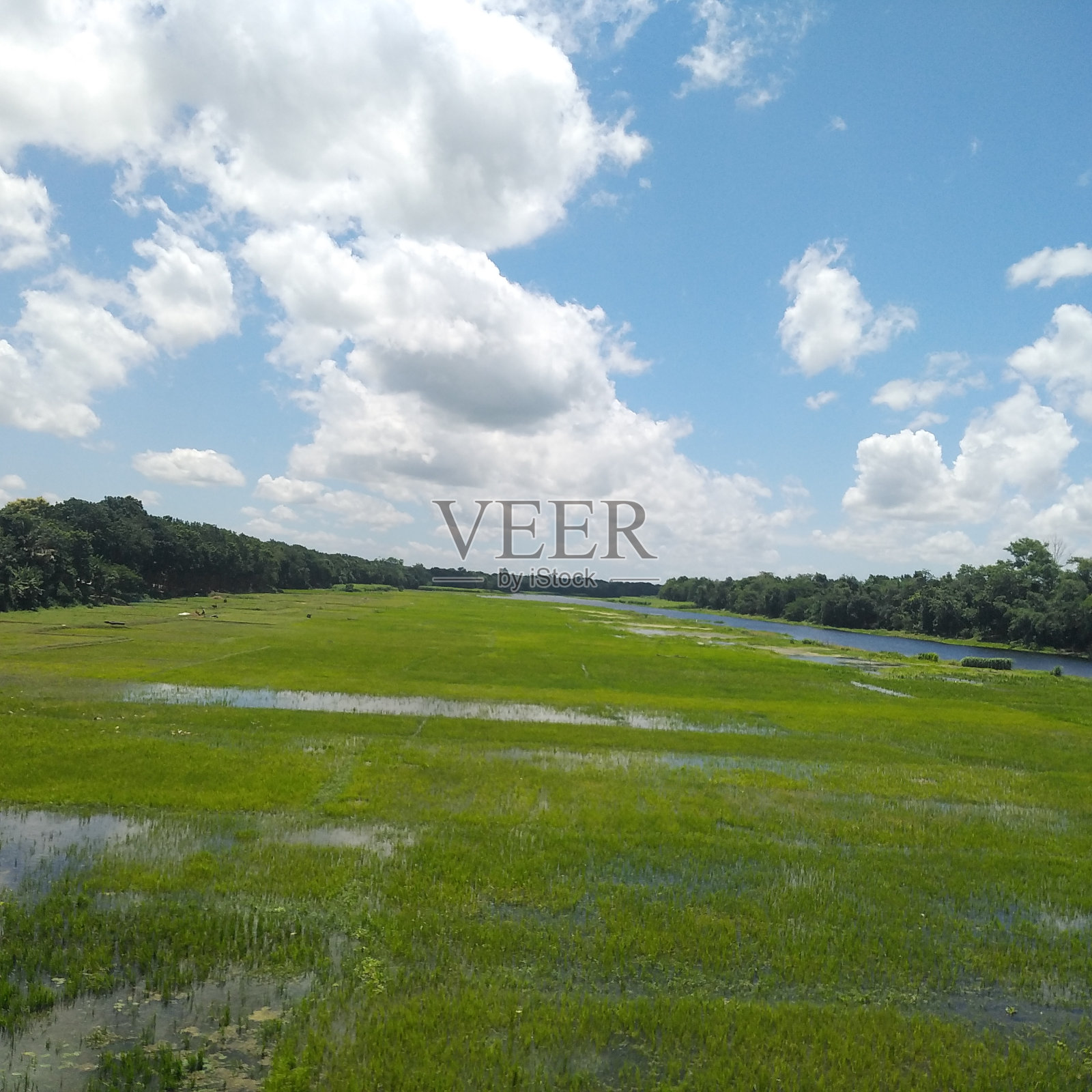 孟加拉国的自然美景照片摄影图片