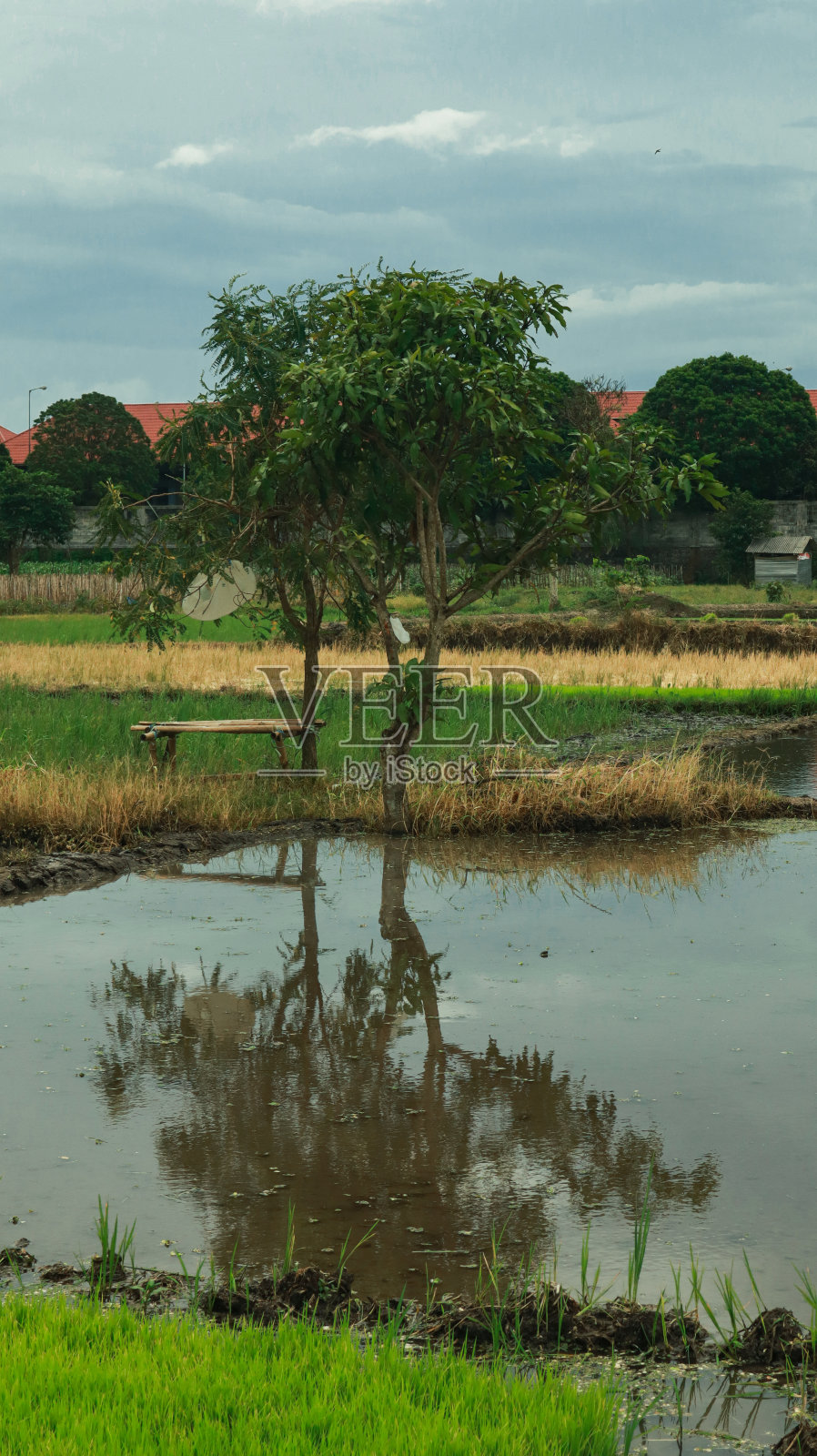 unplanted字段照片摄影图片